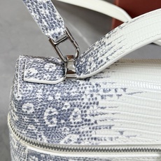 Loro piana Extra Bag L23手袋 款号:FAQ2126 颜色:喜马拉雅蜥蜴纹 作为一款小巧精致的优雅 Loro piana Extra Bag L23手袋 款号:FAQ2126 颜色:喜马拉雅蜥蜴纹 作为一款小巧精致的优雅