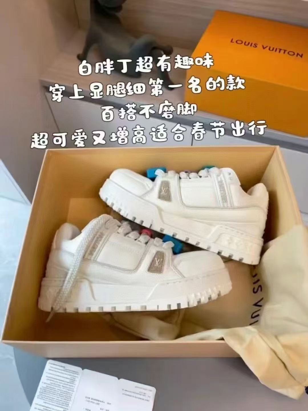 LV小胖丁 舒适又不单调✨✨