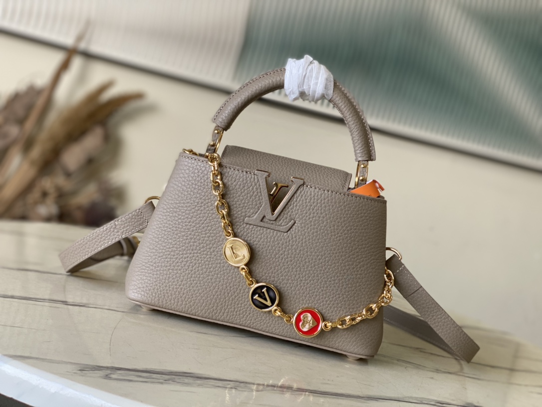 Louis Vuitton LV Capucines Bags Handbags Grey Taurillon Chains KM00014