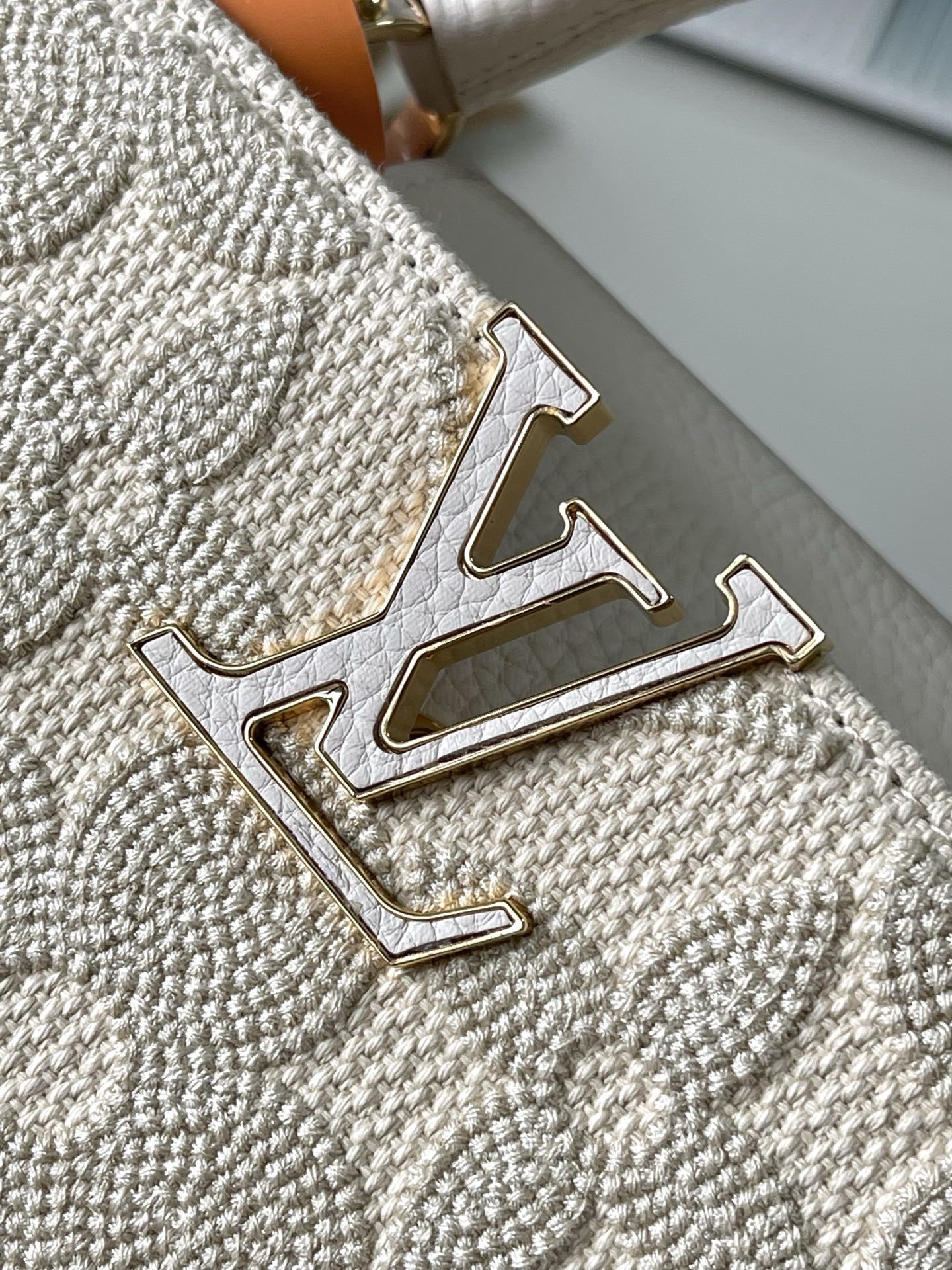 特级原厂皮 M14389 小号 这款时尚的Cacines属于“花园动画”系列,灵感源自新艺术风格的图案。