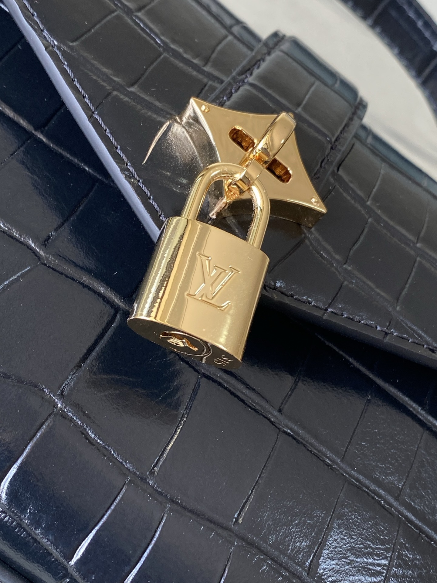 特级原厂皮 N98925 鳄鱼黑色小号 Rose des Vents 小号手袋取材光滑与粒面小牛皮勾勒雅