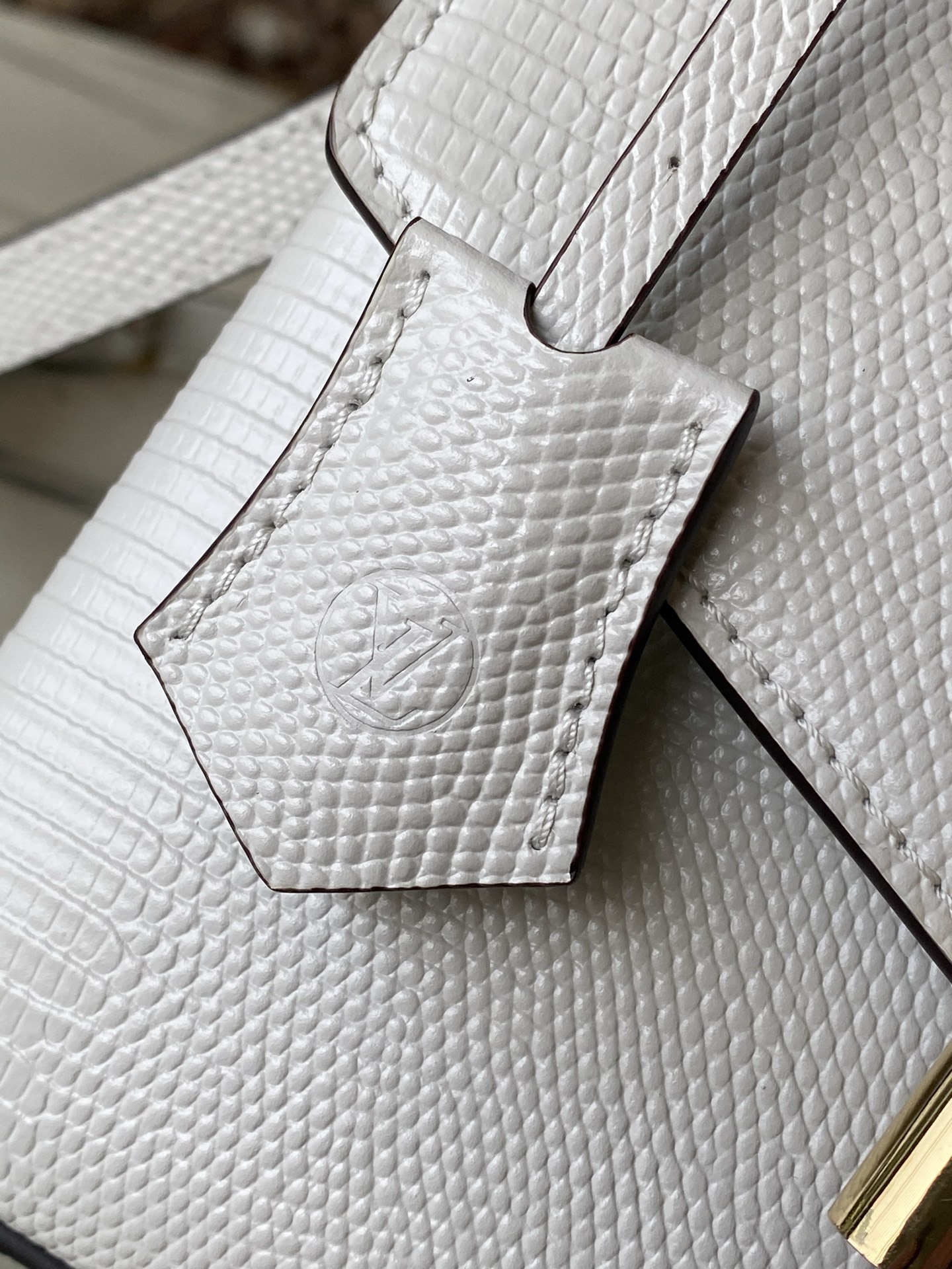 特级原厂皮 N80233 蜥蜴纹白小号 Rose des Vents 小号手袋取材光滑与粒面小牛皮勾勒雅