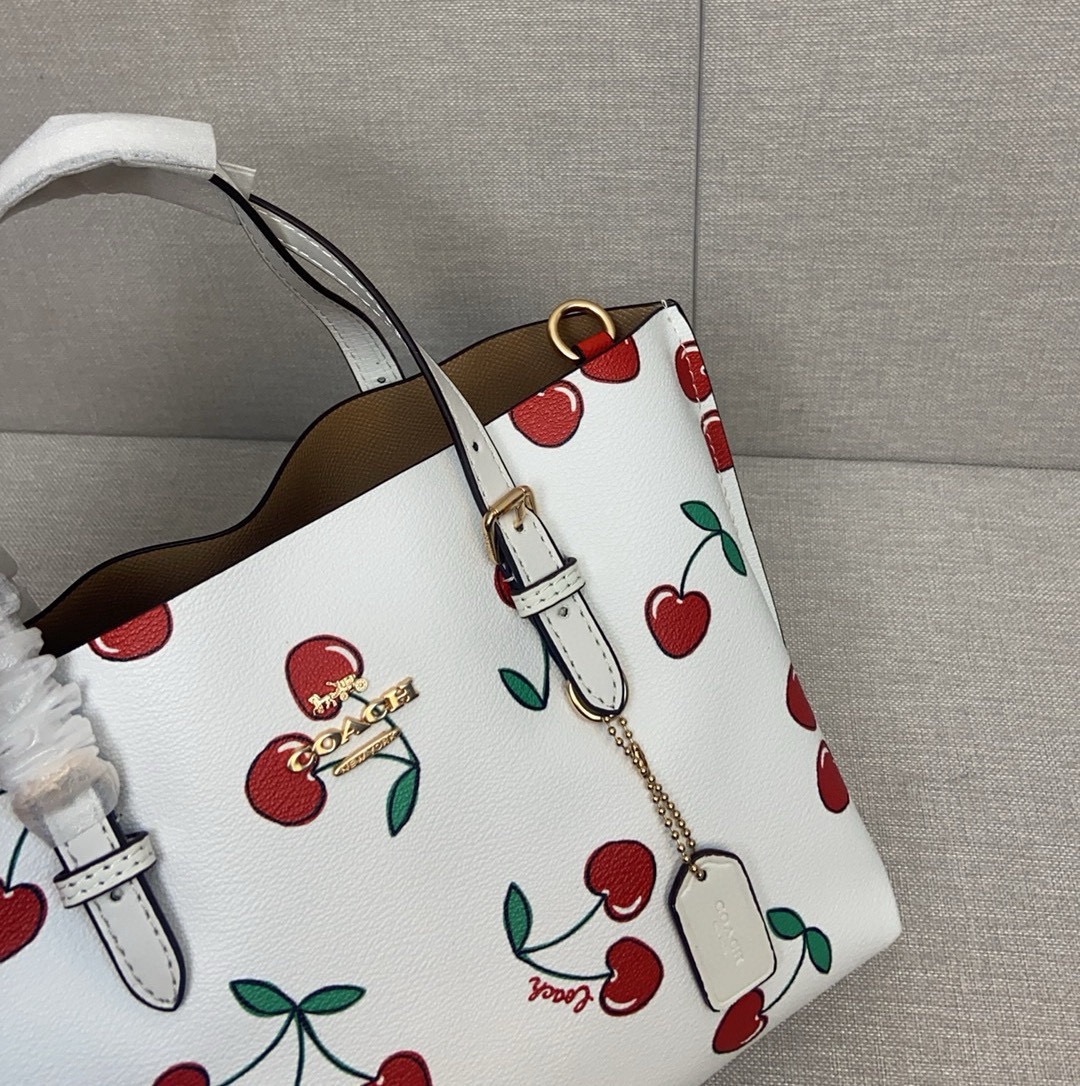 coa*h mollie tote印花托特包 - 三隔层デザインで使い勝手抜群