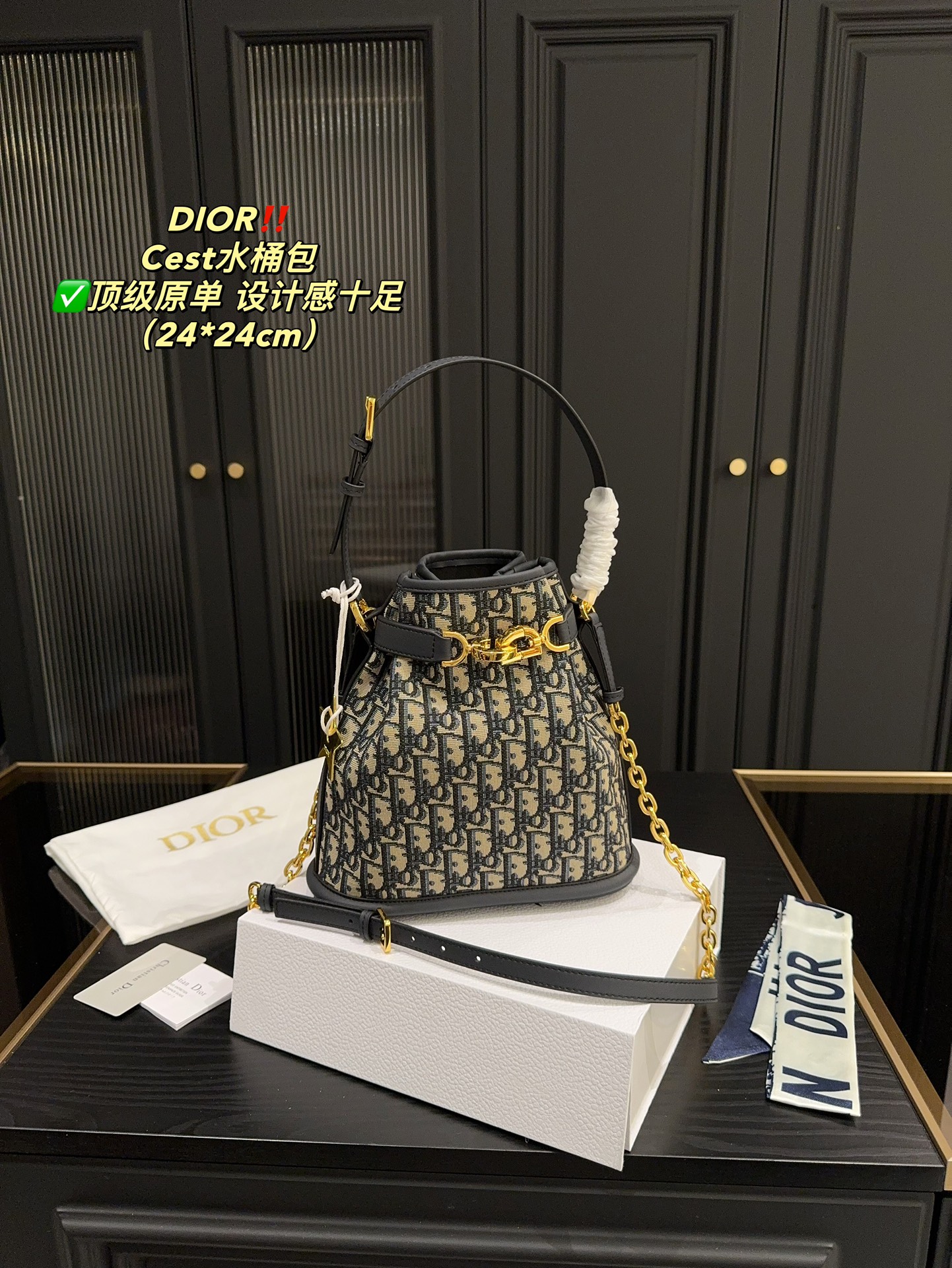 Dior sacs Sac Seau