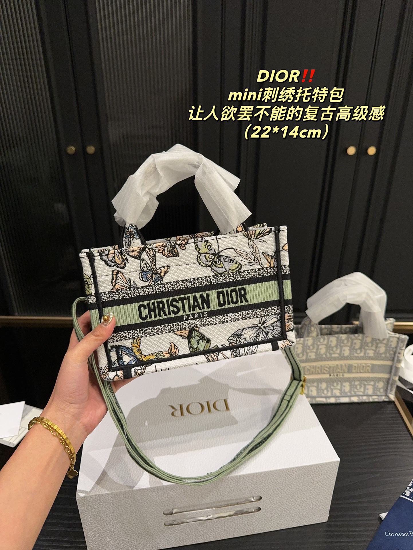 Dior Tote Bags Embroidery Vintage Mini