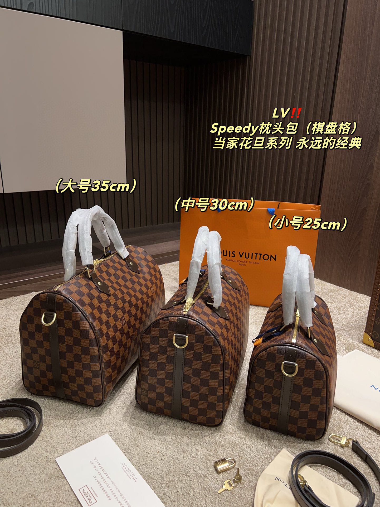 Louis Vuitton LV Speedy Bags Handbags Canvas Casual