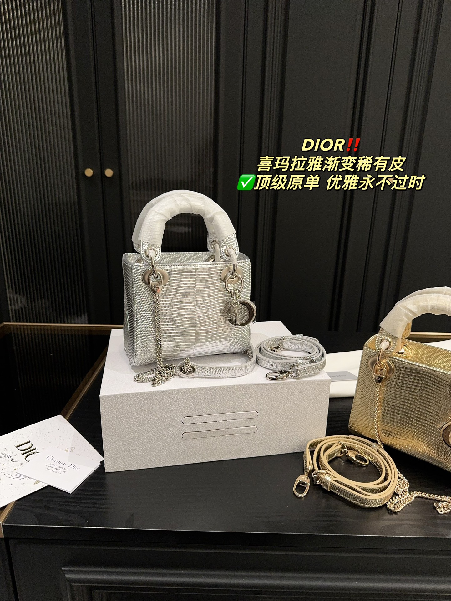 Dior Lady Handbags Crossbody & Shoulder Bags Silver Hardware