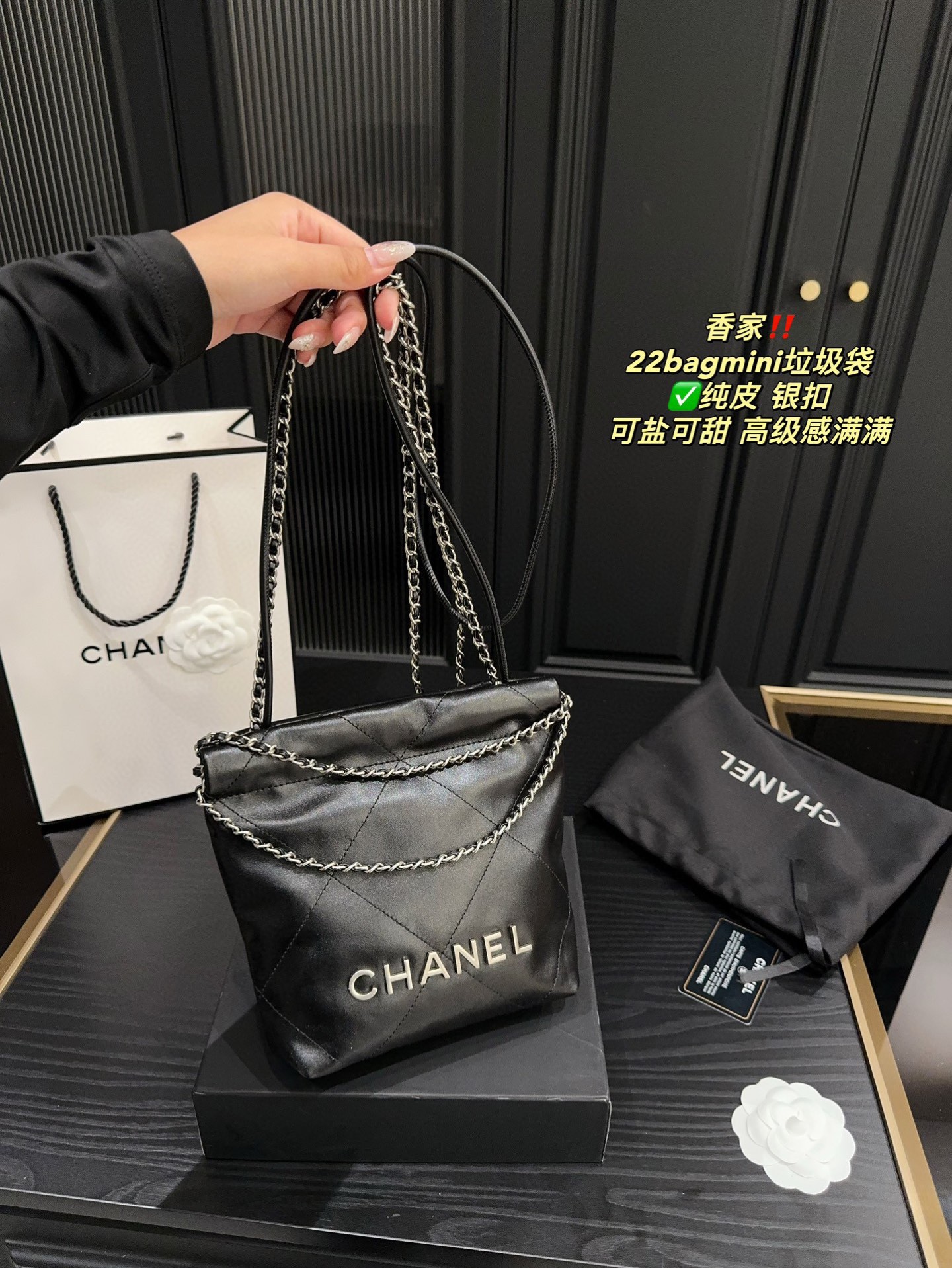 Chanel 22 bag mini Black mini crossbody everyday