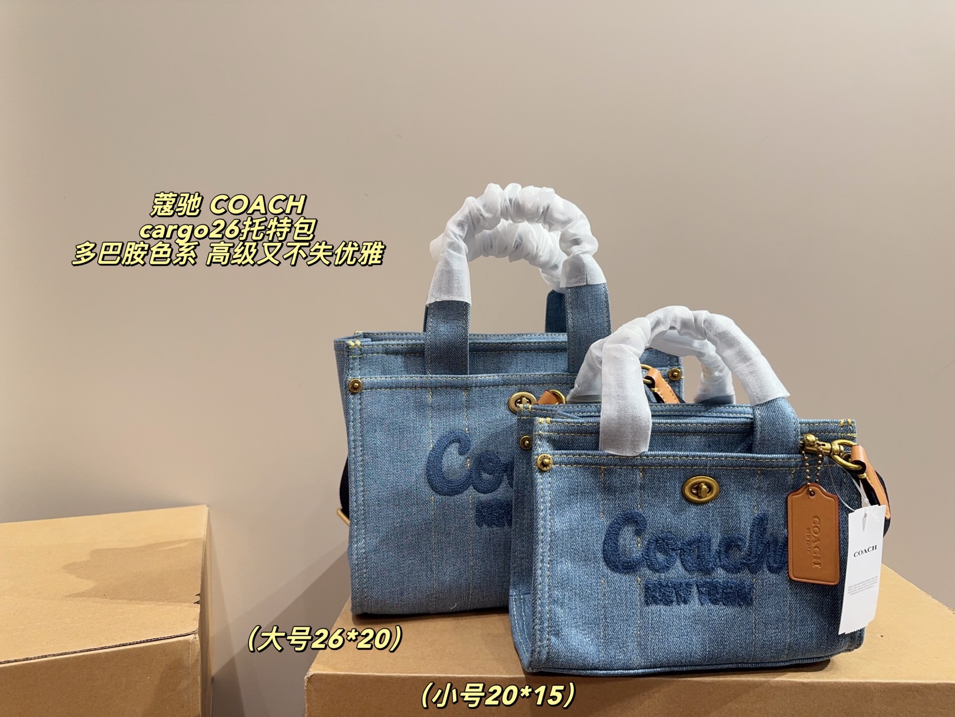 Tamaño grande ⚠️ medidas 26*20, tamaño pequeño ⚠️ medidas 20*15, bolso tote COACH cargo26, muchos colores, elegante y s…
