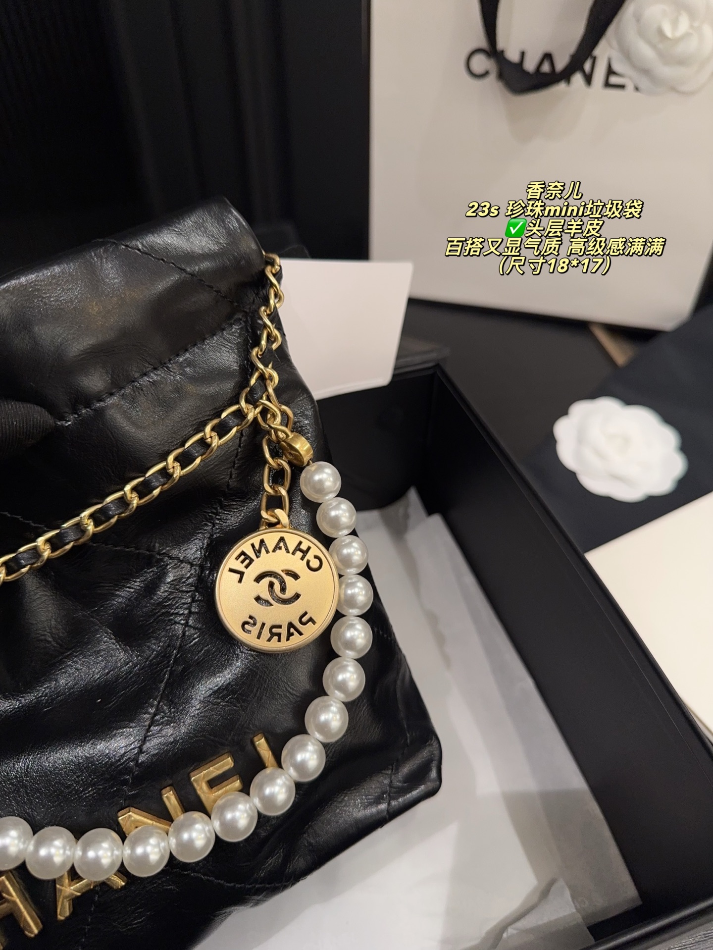 Chanel 22 Mini Black 18x17cm shoulder everyday
