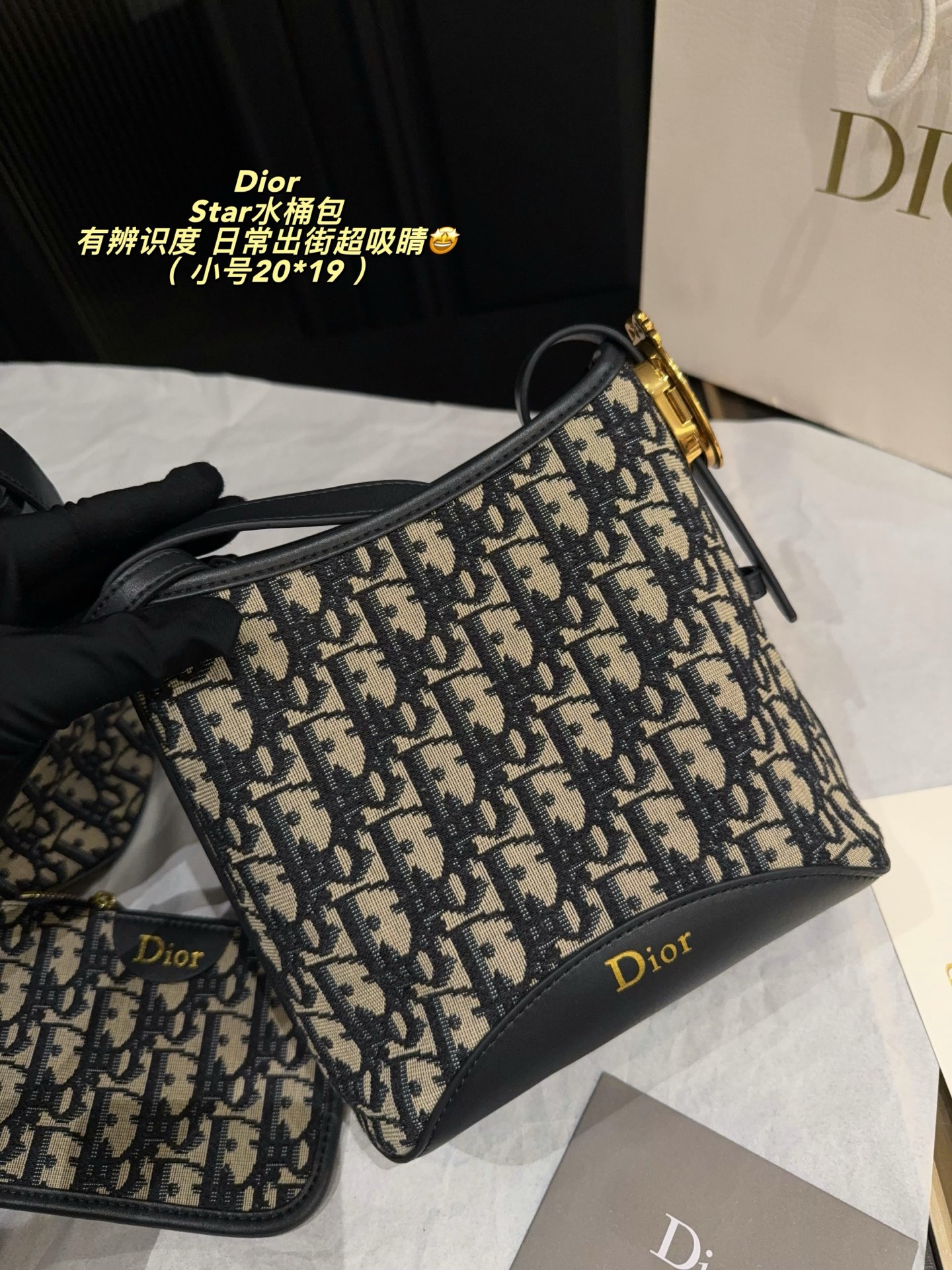 Dior Star Beige and black Oblique jacquard 28x27cm everyday