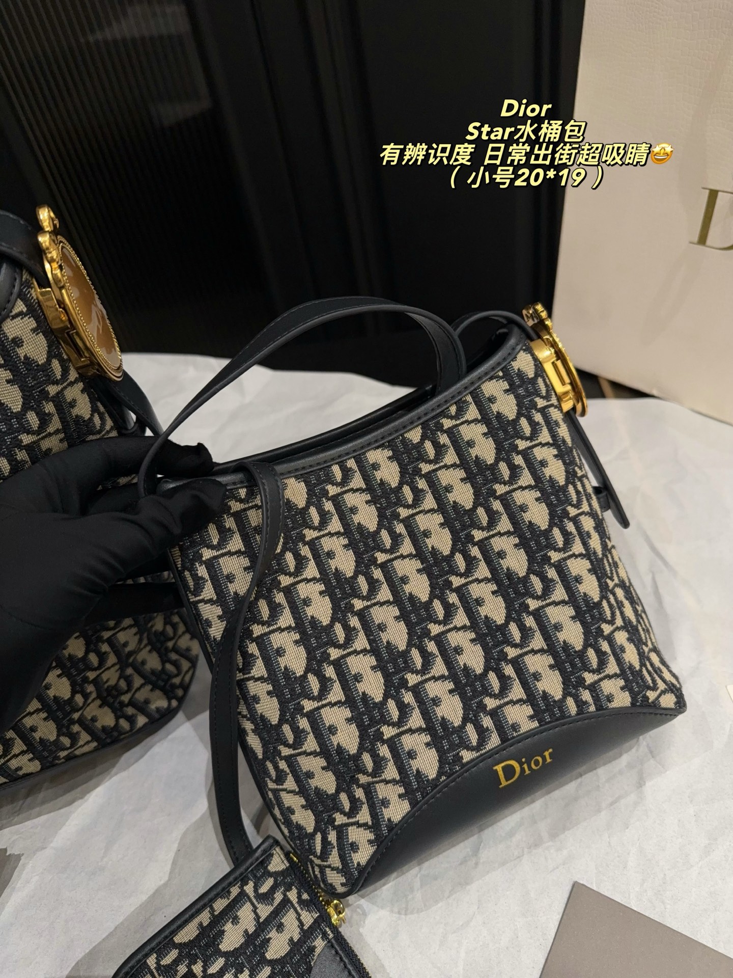 Dior Star Beige and black Oblique jacquard 28x27cm everyday