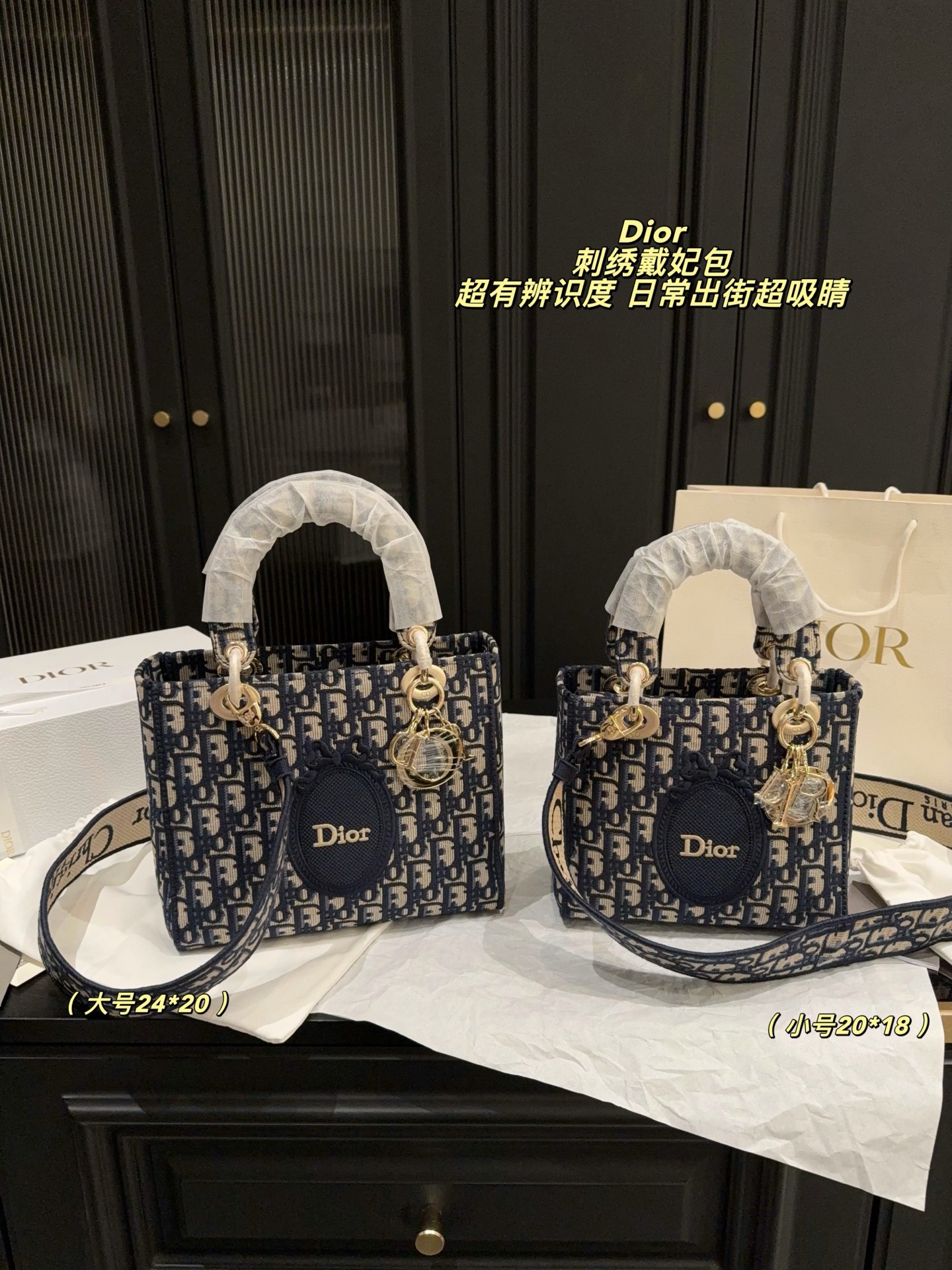 Dior Lady Blue Oblique embroidery 20x18cm shoulder everyday