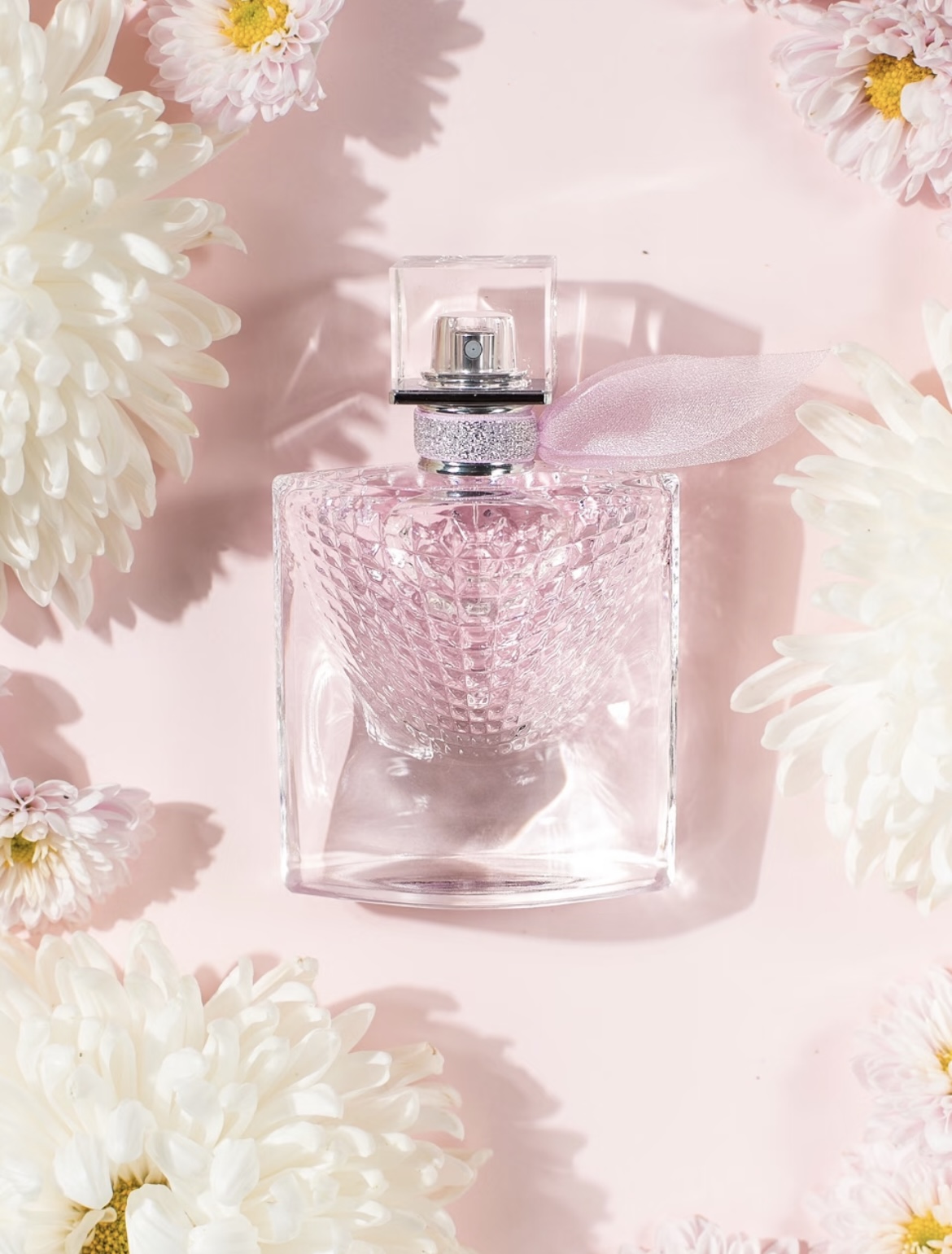 _dmD9sNvMEu16m0R7cKFcx89cMM1sPiq2vSDX0wA