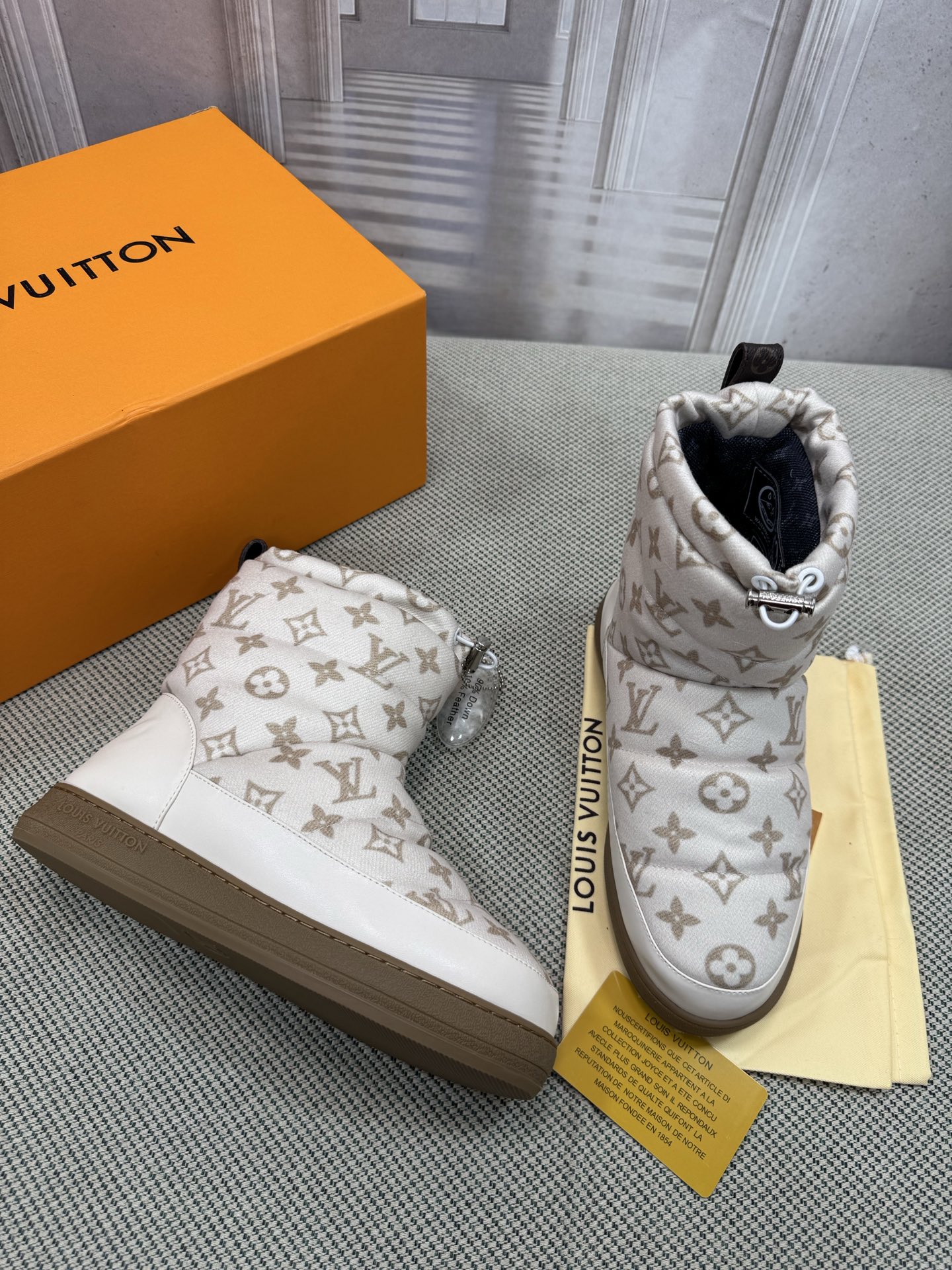 Louis Vuitton 专柜款经典手袋 2