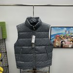 Dior Clothing Down Jacket Waistcoats Fake High Quality
 White Unisex Duck Down Winter Collection Fashion