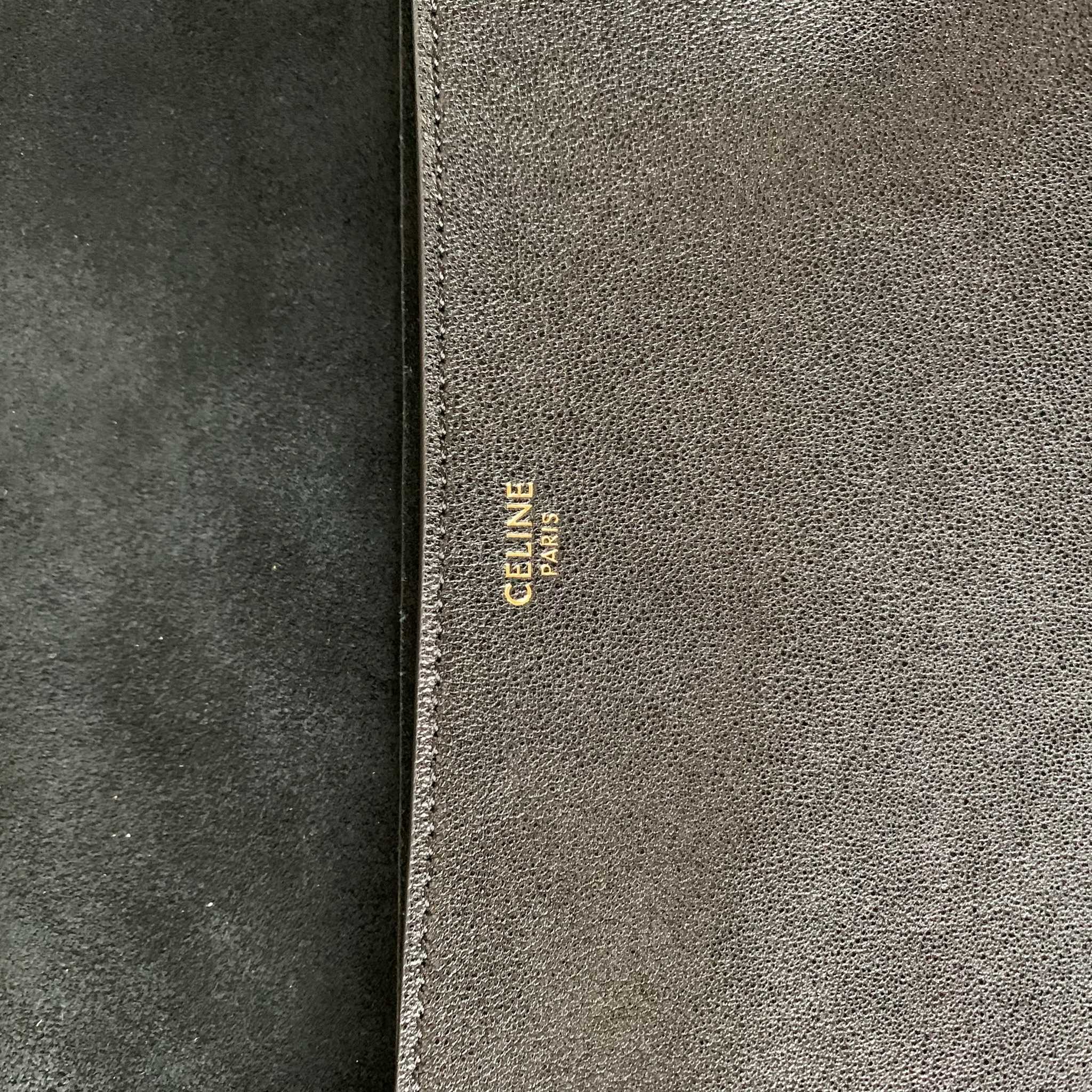 SOFT TRIOMPHE BESACE手袋(32X2X26厘米)羊皮革牛剖层革衬里金色饰面肩背，斜挎T