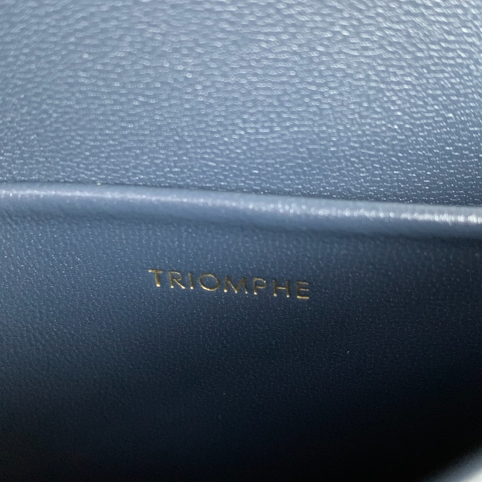 TEEN GARANCE牛皮革手袋18.5 X 13X6厘米 牛皮革羊皮革衬里肩背和手提TRIOMPHE