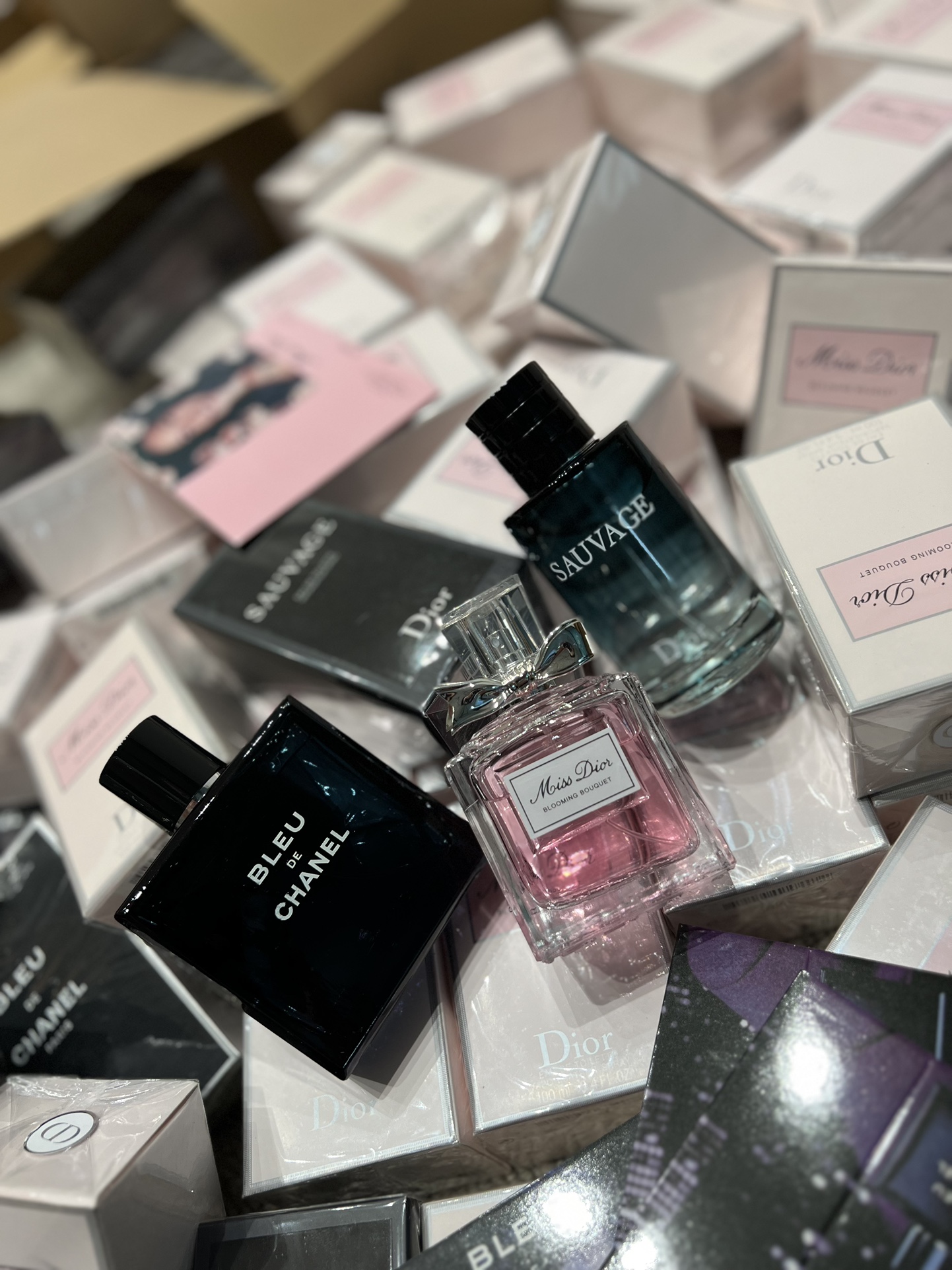 Full-Size Fragrance Collection (100 ml - Comprehensive