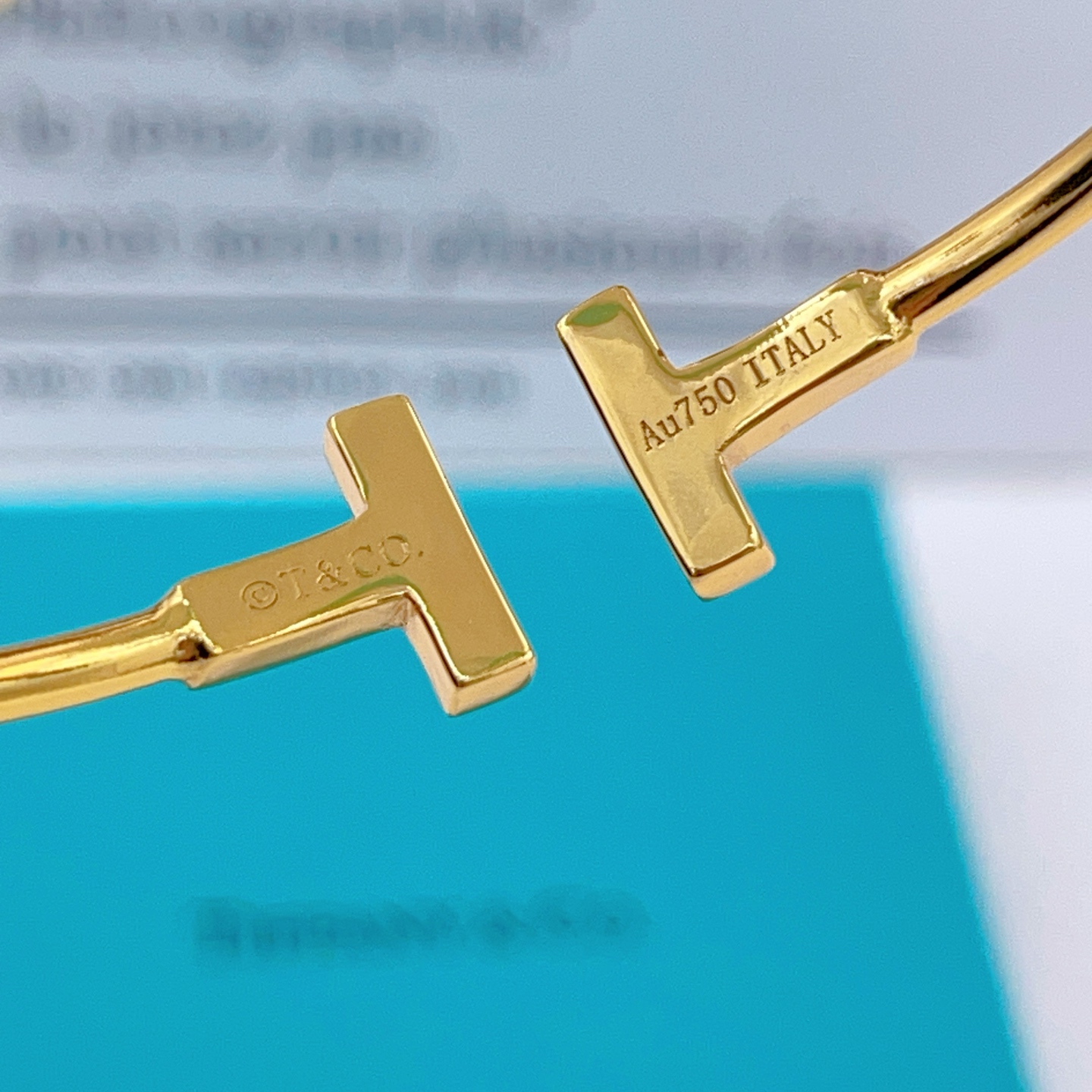 Tiffany & Co. Tiffany*帝芙尼最新款，非常的上镜‼ 设计很特别值得入手 高级手工坊系列