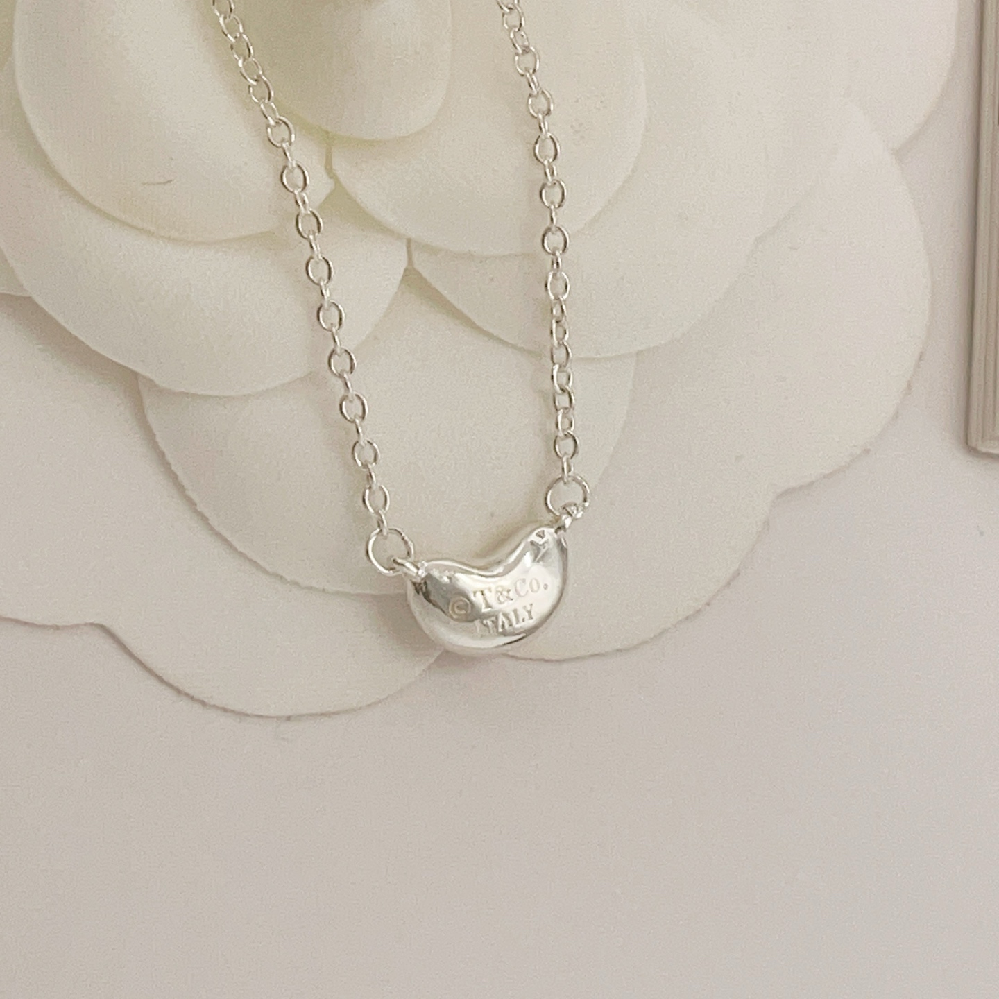 Tiffany & Co. Tiffany*帝芙尼最新款，非常的上镜‼ 设计很特别值得入手 高级手工坊系列