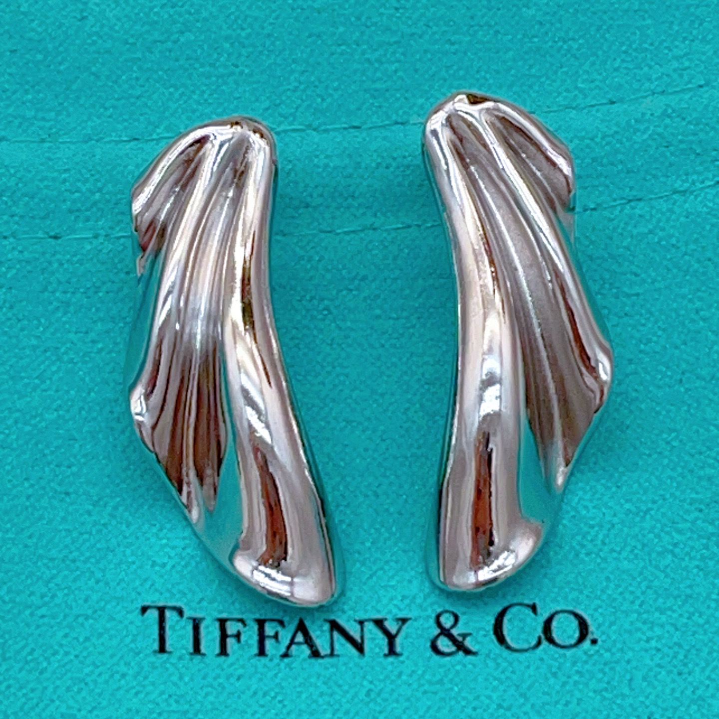Tiffany & Co. Tiffany*帝芙尼最新款，非常的上镜‼ 设计很特别值得入手 高级手工坊系列