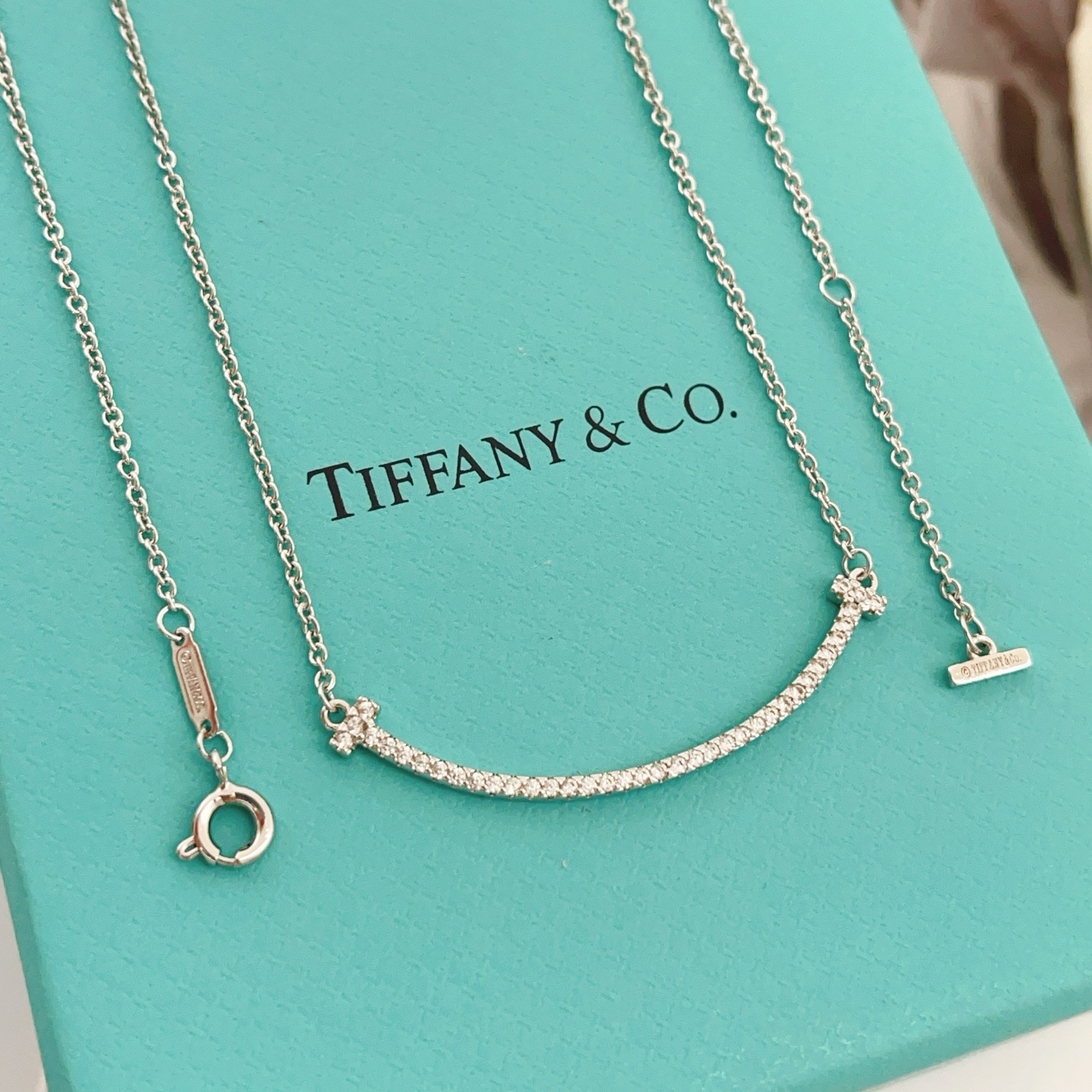 【Tiffany*帝芙尼最新款🆕🆕笑脸满天星银色项链】一致官网黄铜材质，非常的上镜‼️设计很特别值得入手