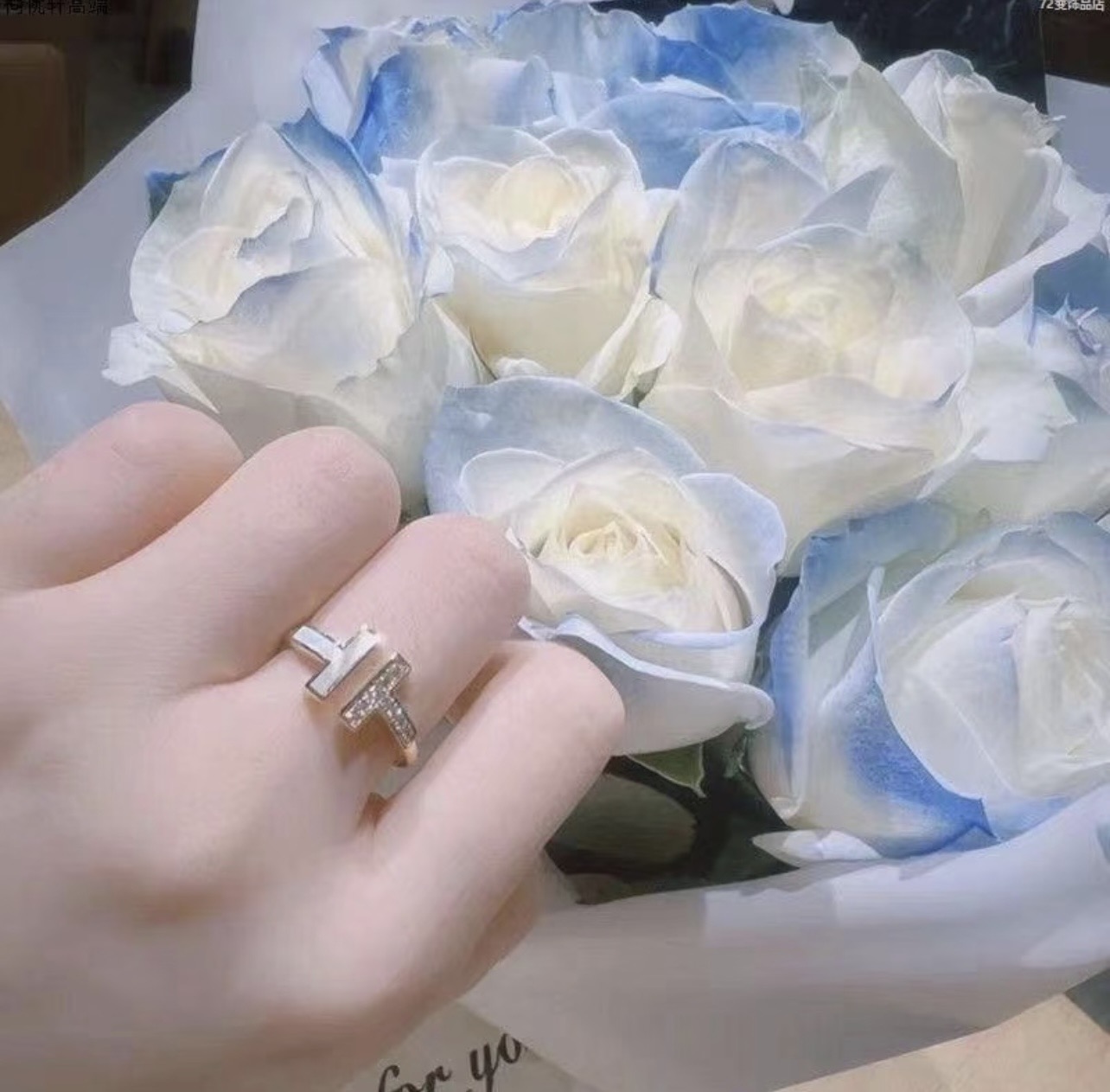 Tiffany & Co. Tiffany*帝芙尼最新款，非常的上镜‼ 设计很特别值得入手 高级手工坊系列