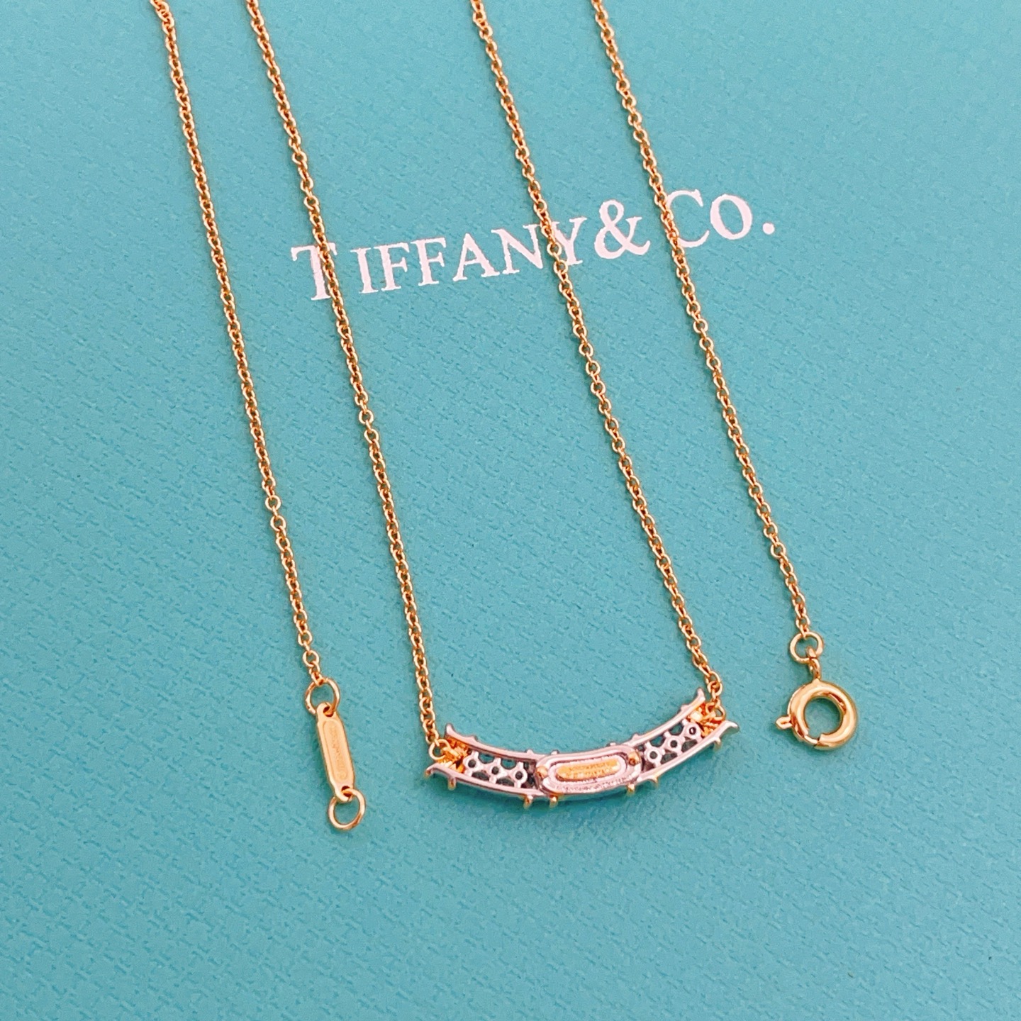 Tiffany & Co. Tiffany*帝芙尼最新款，非常的上镜‼ 设计很特别值得入手 高级手工坊系列