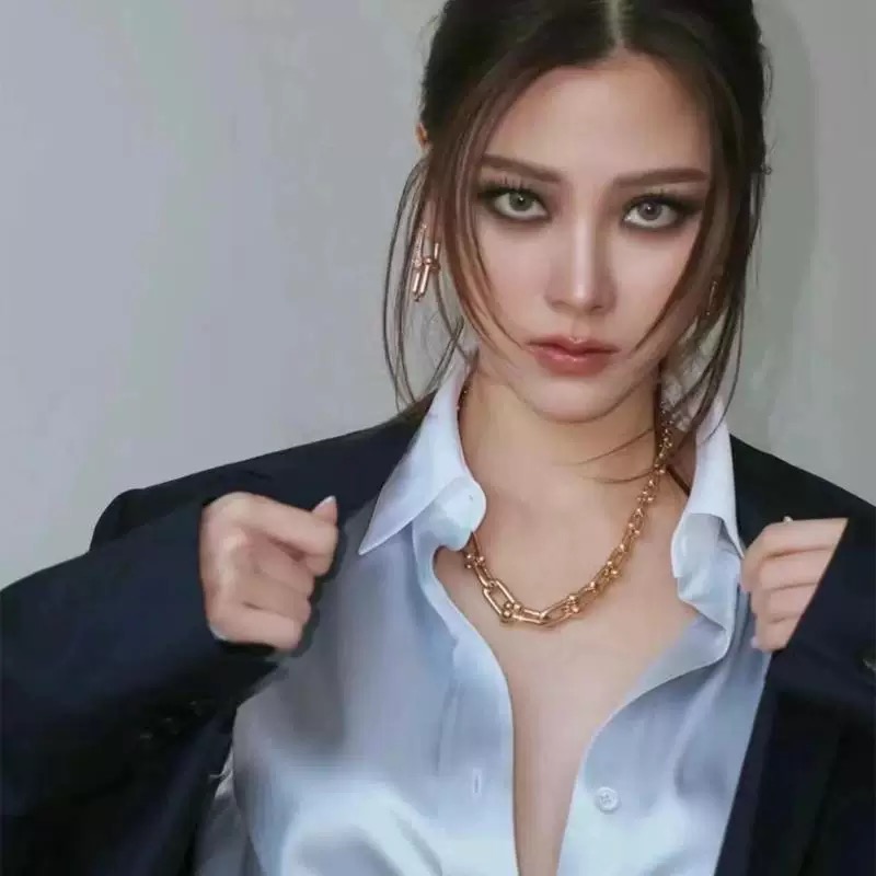 Tiffany & Co. Tiffany*帝芙尼最新款 U形金色项链一致ZP黄铜材质