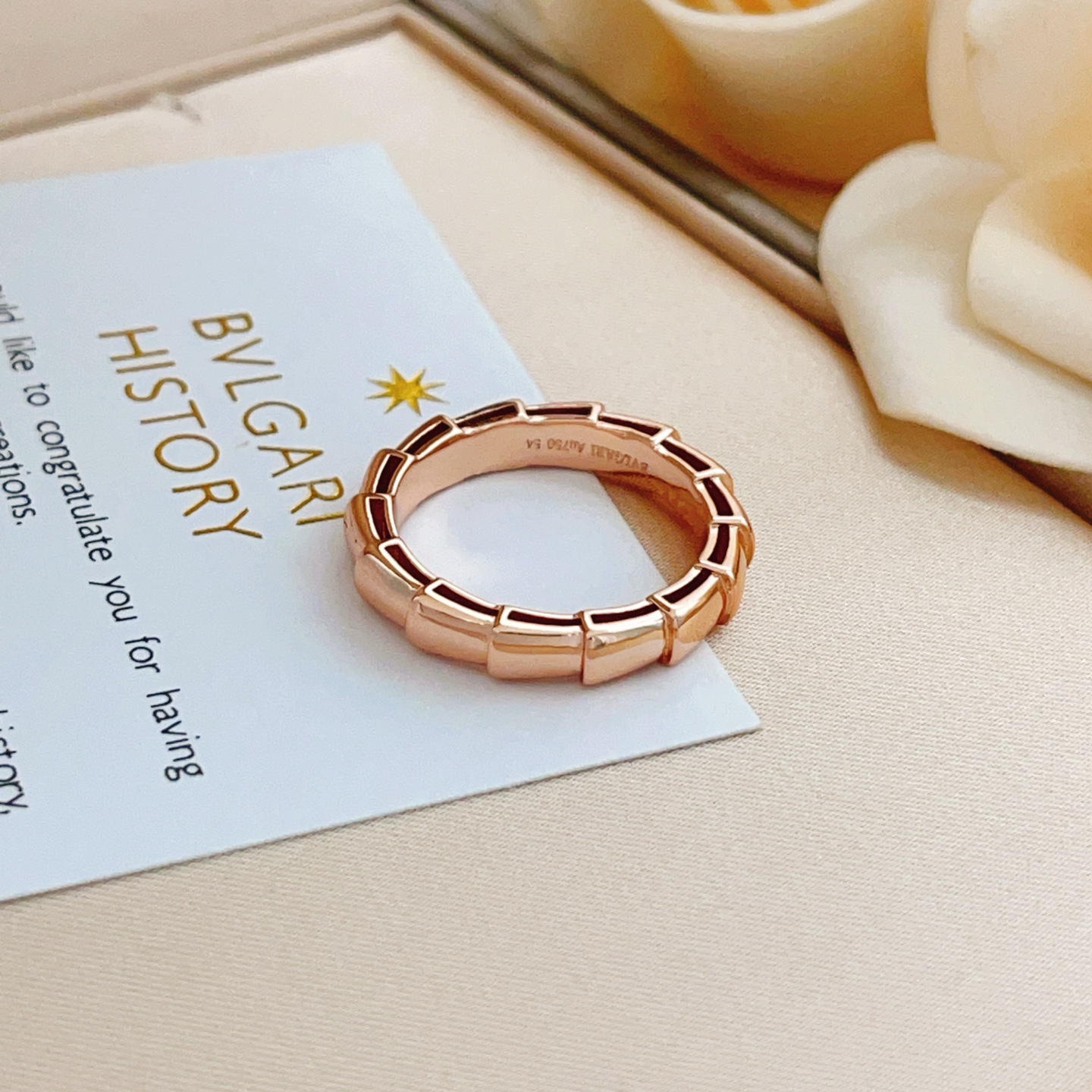 Bvlgari BVLGARI最新款，非常的上镜‼ 设计很特别值得入手 高级手工坊系列