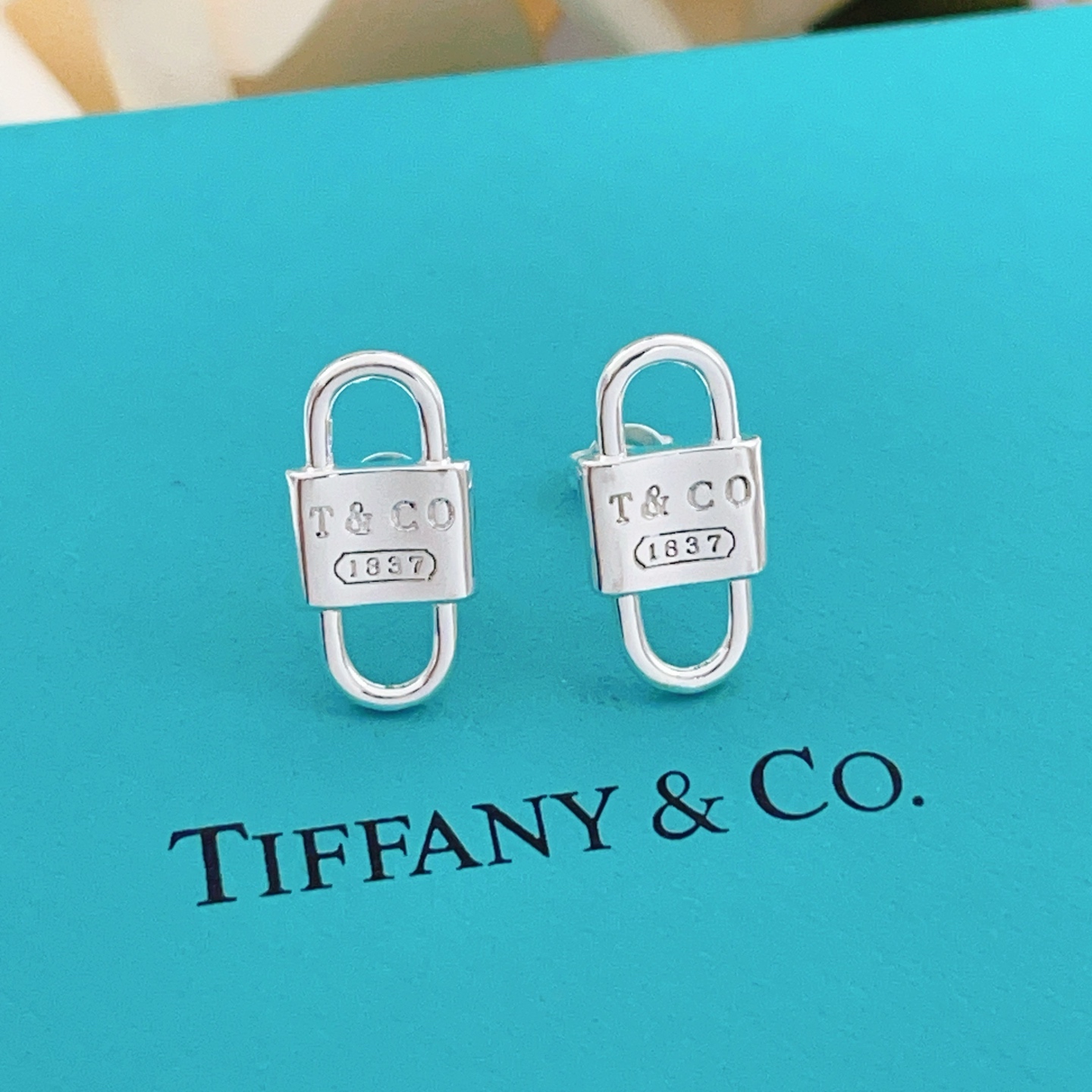 Tiffany & Co. Tiffany*帝芙尼最新款，非常的上镜‼ 设计很特别值得入手 高级手工坊系列
