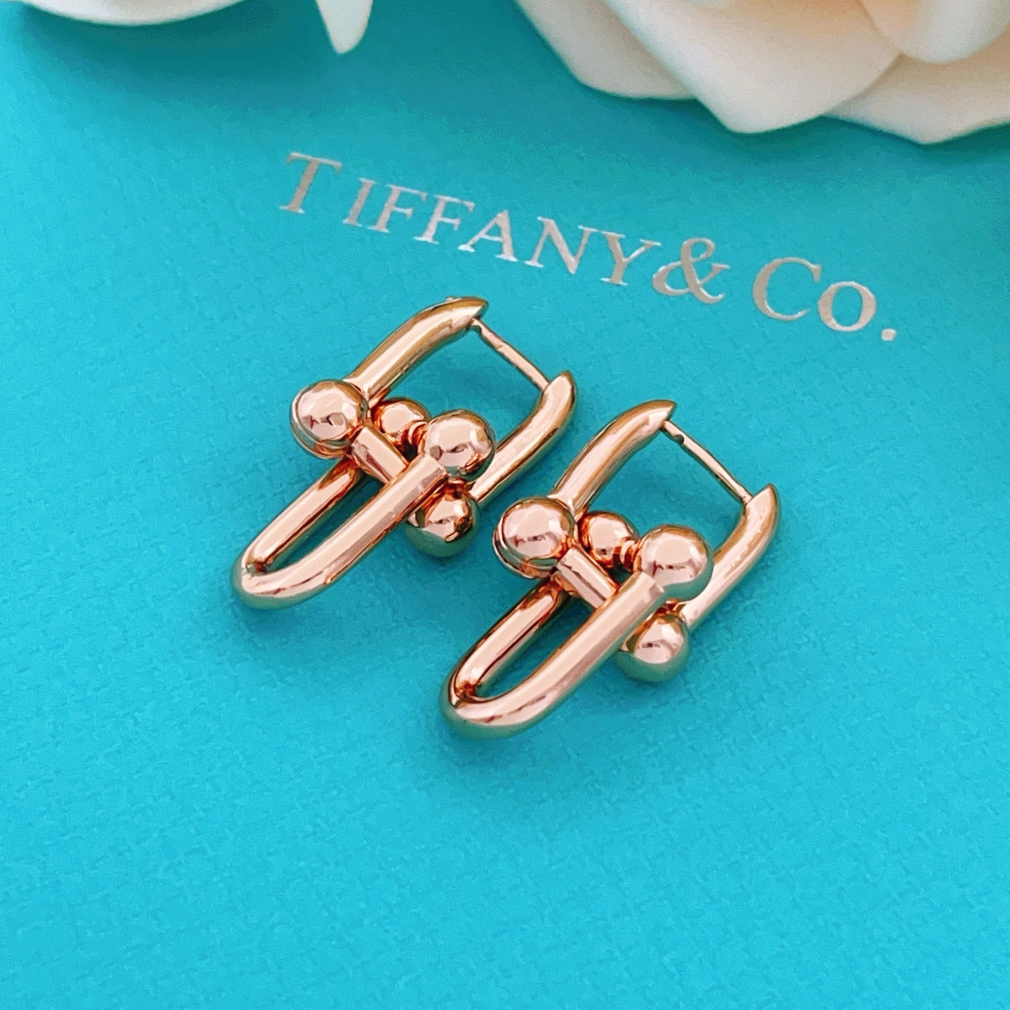Tiffany & Co. Tiffany*帝芙尼最新款，非常的上镜‼ 设计很特别值得入手 高级手工坊系列
