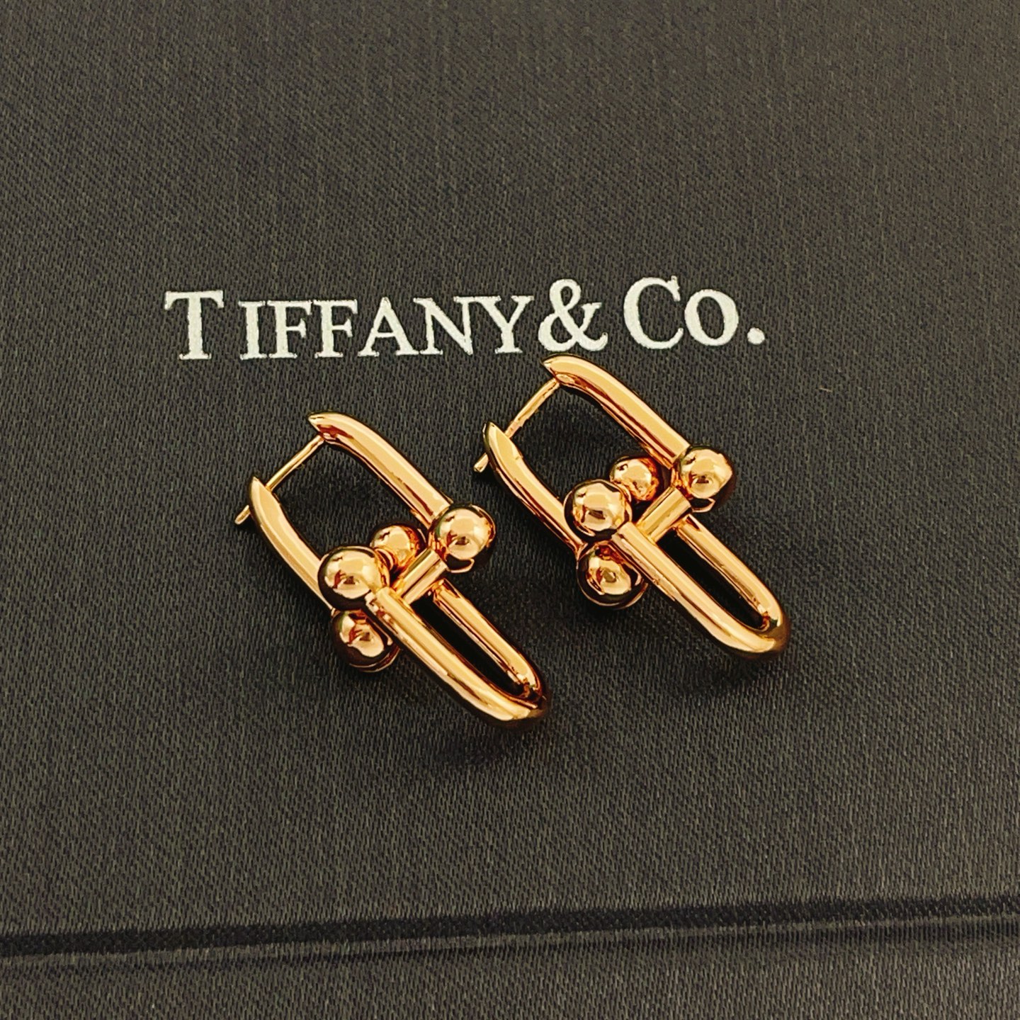 Tiffany & Co. Tiffany*帝芙尼最新款，非常的上镜‼ 设计很特别值得入手 高级手工坊系列