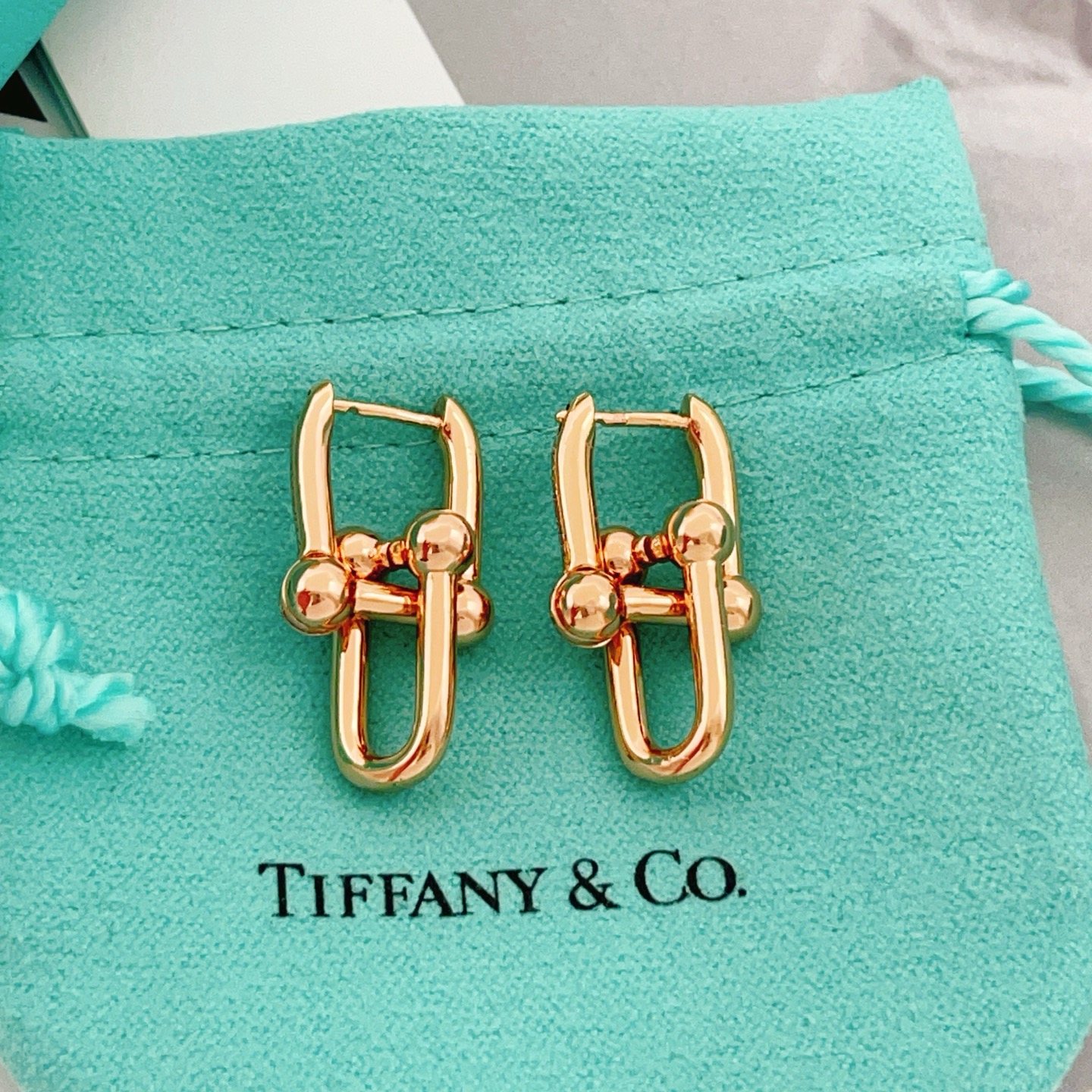 Tiffany & Co. Tiffany*帝芙尼最新款，非常的上镜‼ 设计很特别值得入手 高级手工坊系列