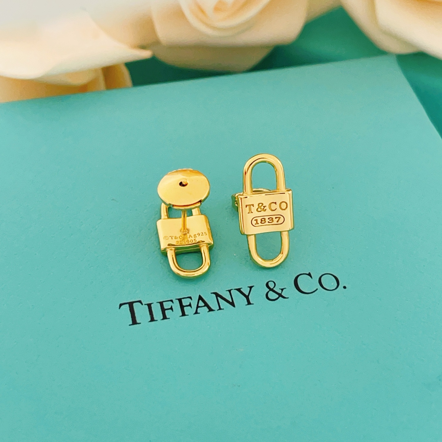 Tiffany & Co. Tiffany*帝芙尼最新款，非常的上镜‼ 设计很特别值得入手 高级手工坊系列