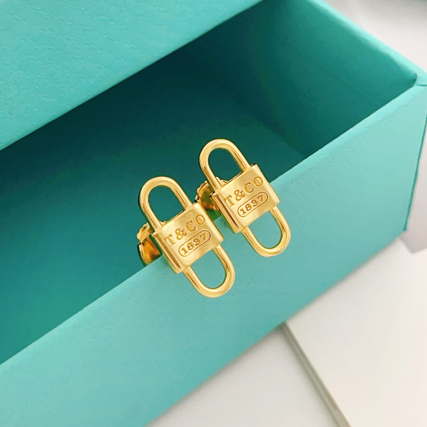 Tiffany & Co. Tiffany*帝芙尼最新款，非常的上镜‼ 设计很特别值得入手 高级手工坊系列