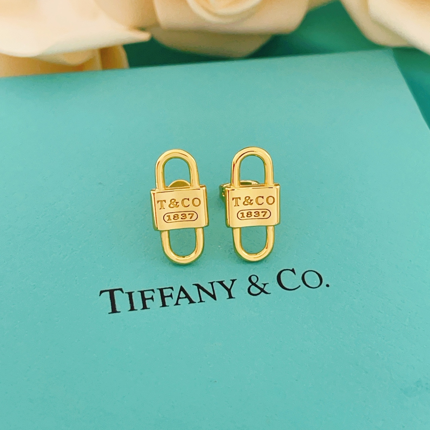 Tiffany & Co. Tiffany*帝芙尼最新款，非常的上镜‼ 设计很特别值得入手 高级手工坊系列
