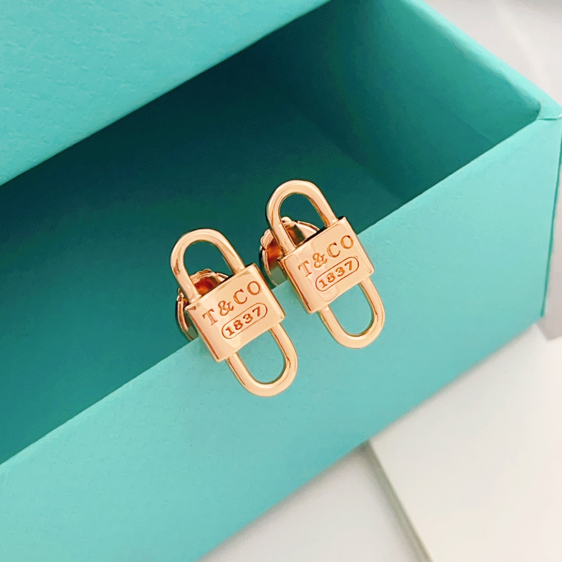 Tiffany & Co. Tiffany*帝芙尼最新款，非常的上镜‼ 设计很特别值得入手 高级手工坊系列