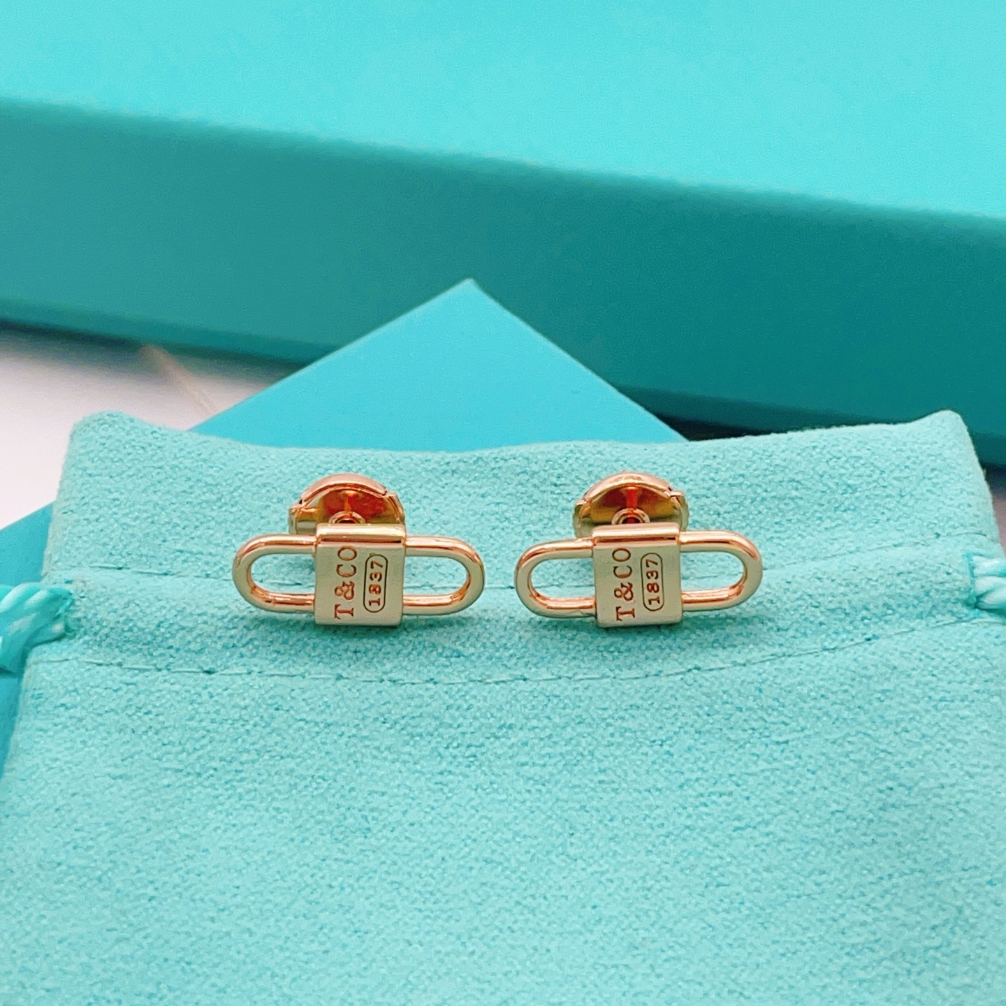 Tiffany & Co. Tiffany*帝芙尼最新款，非常的上镜‼ 设计很特别值得入手 高级手工坊系列