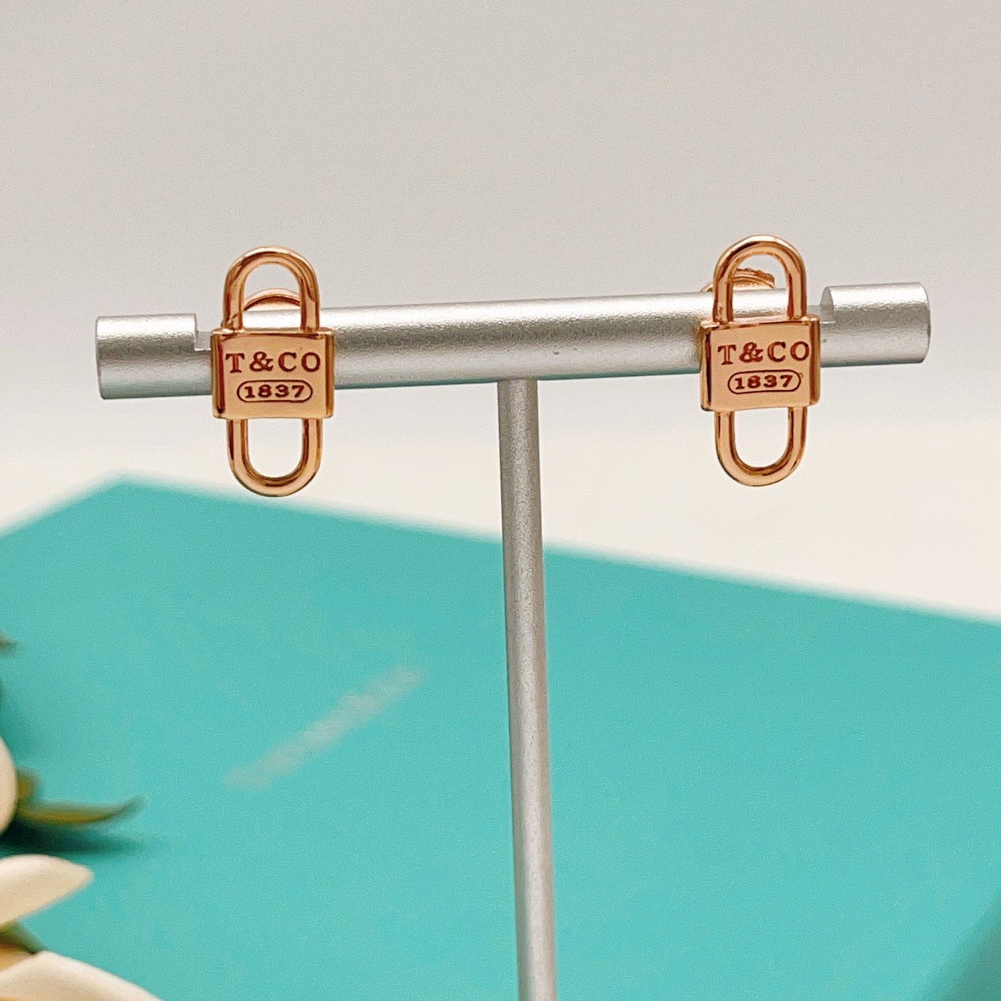 Tiffany & Co. Tiffany*帝芙尼最新款，非常的上镜‼ 设计很特别值得入手 高级手工坊系列