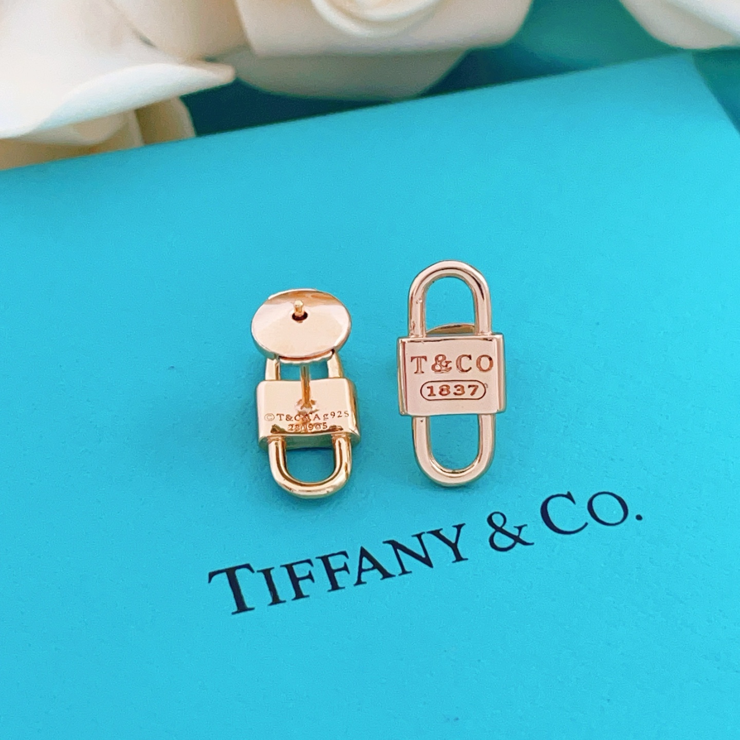 Tiffany & Co. Tiffany*帝芙尼最新款，非常的上镜‼ 设计很特别值得入手 高级手工坊系列
