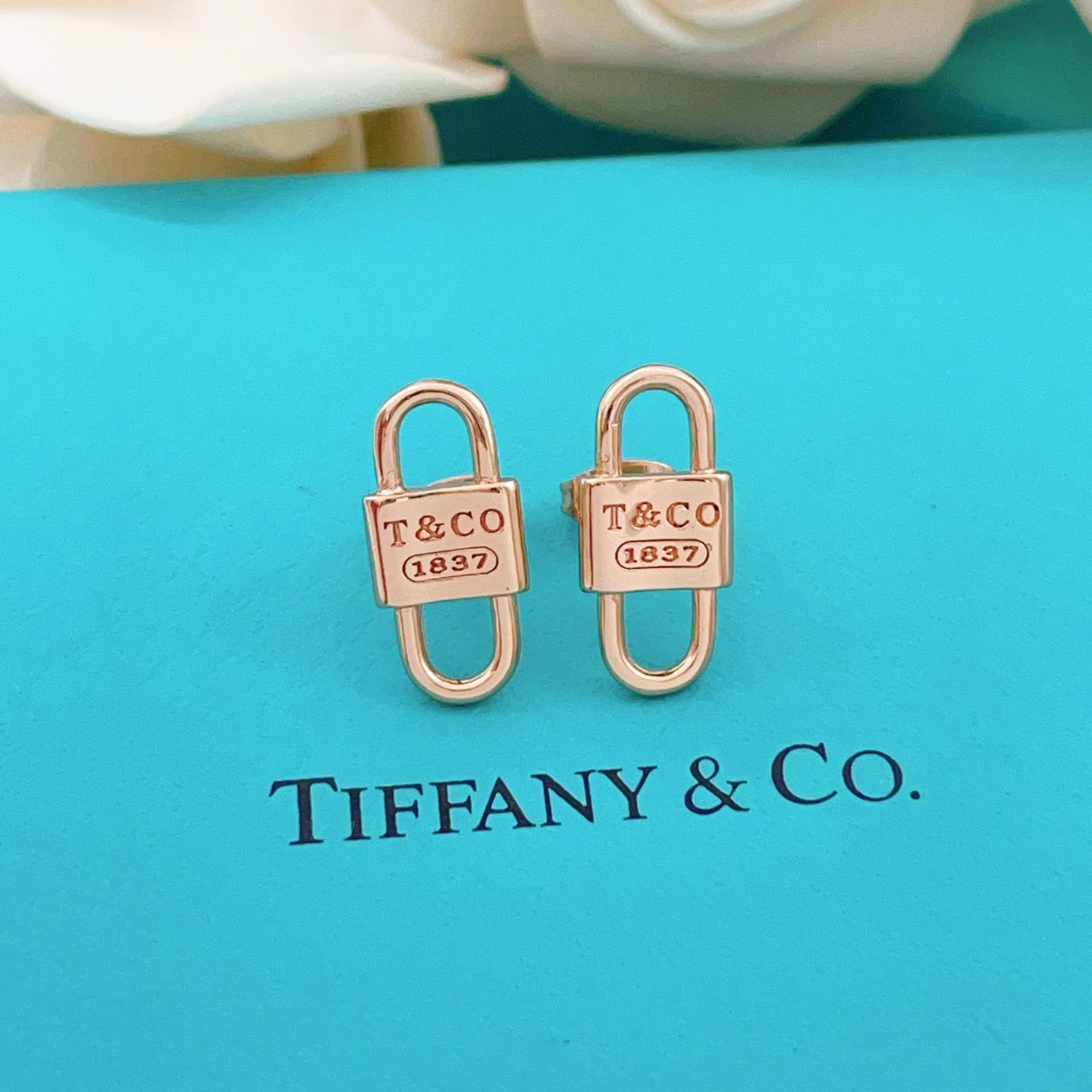 Tiffany & Co. Tiffany*帝芙尼最新款，非常的上镜‼ 设计很特别值得入手 高级手工坊系列