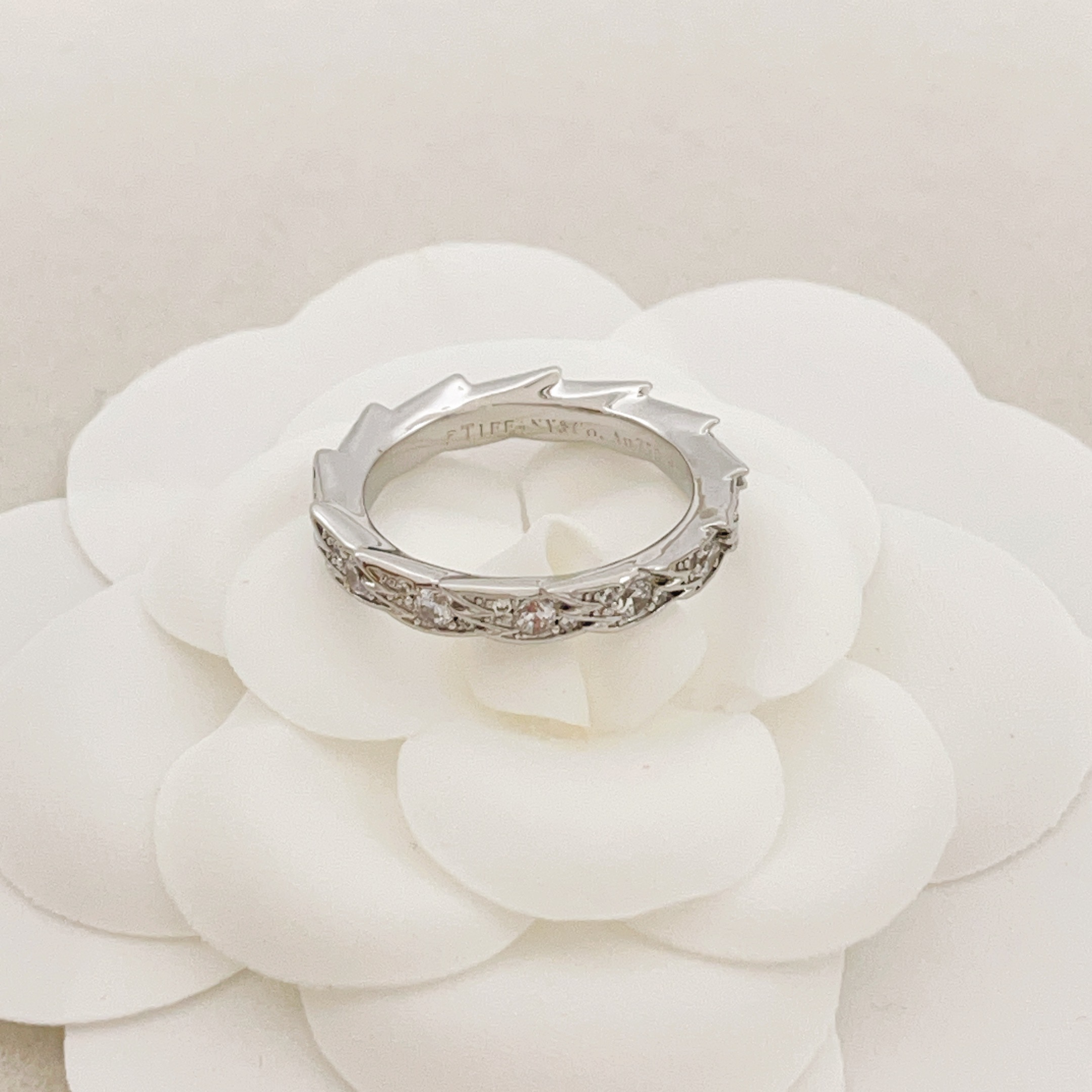 Tiffany & Co. Tiffany*帝芙尼最新款，非常的上镜‼ 设计很特别值得入手 高级手工坊系列