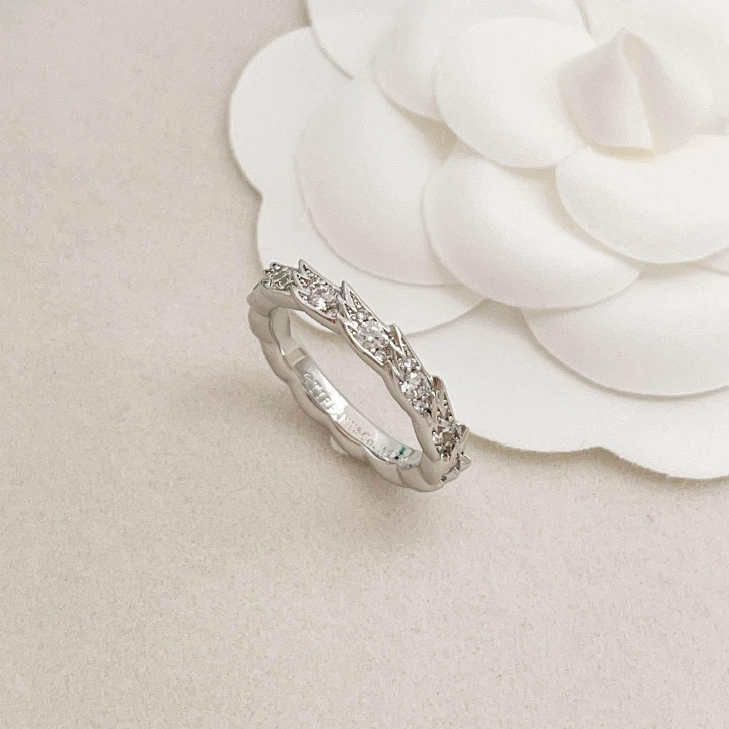 Tiffany & Co. Tiffany*帝芙尼最新款，非常的上镜‼ 设计很特别值得入手 高级手工坊系列