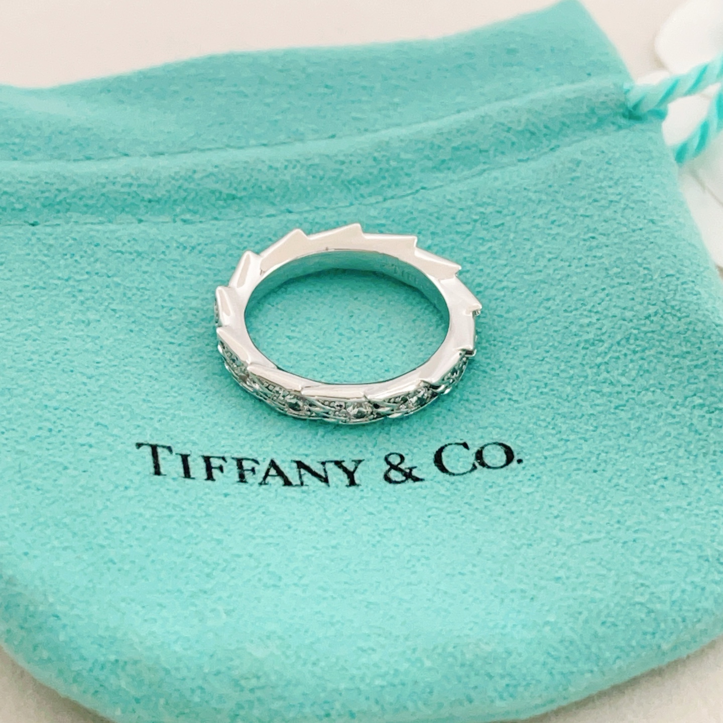 Tiffany & Co. Tiffany*帝芙尼最新款，非常的上镜‼ 设计很特别值得入手 高级手工坊系列