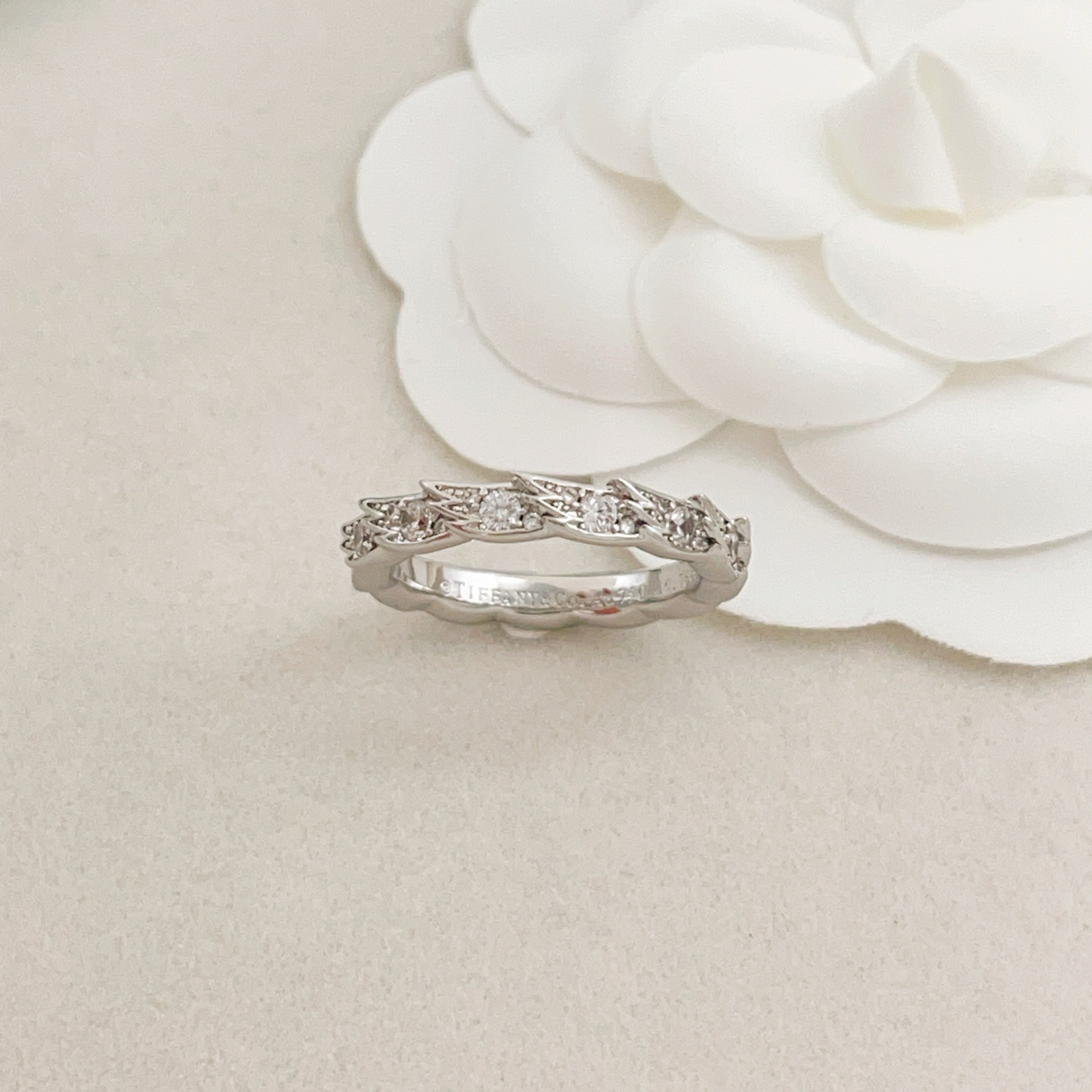 Tiffany & Co. Tiffany*帝芙尼最新款，非常的上镜‼ 设计很特别值得入手 高级手工坊系列