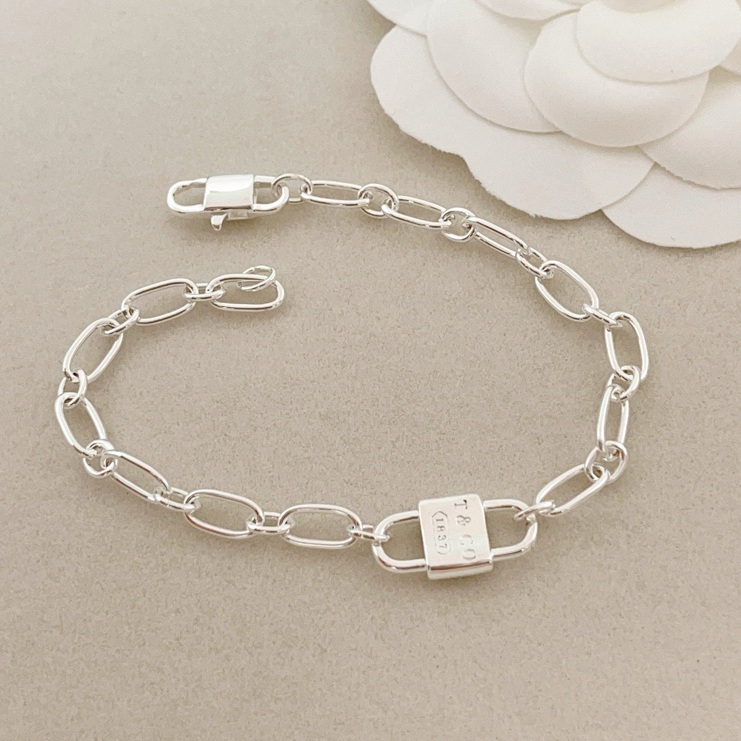 Tiffany & Co. Tiffany*帝芙尼最新款，非常的上镜‼ 设计很特别值得入手 高级手工坊系列