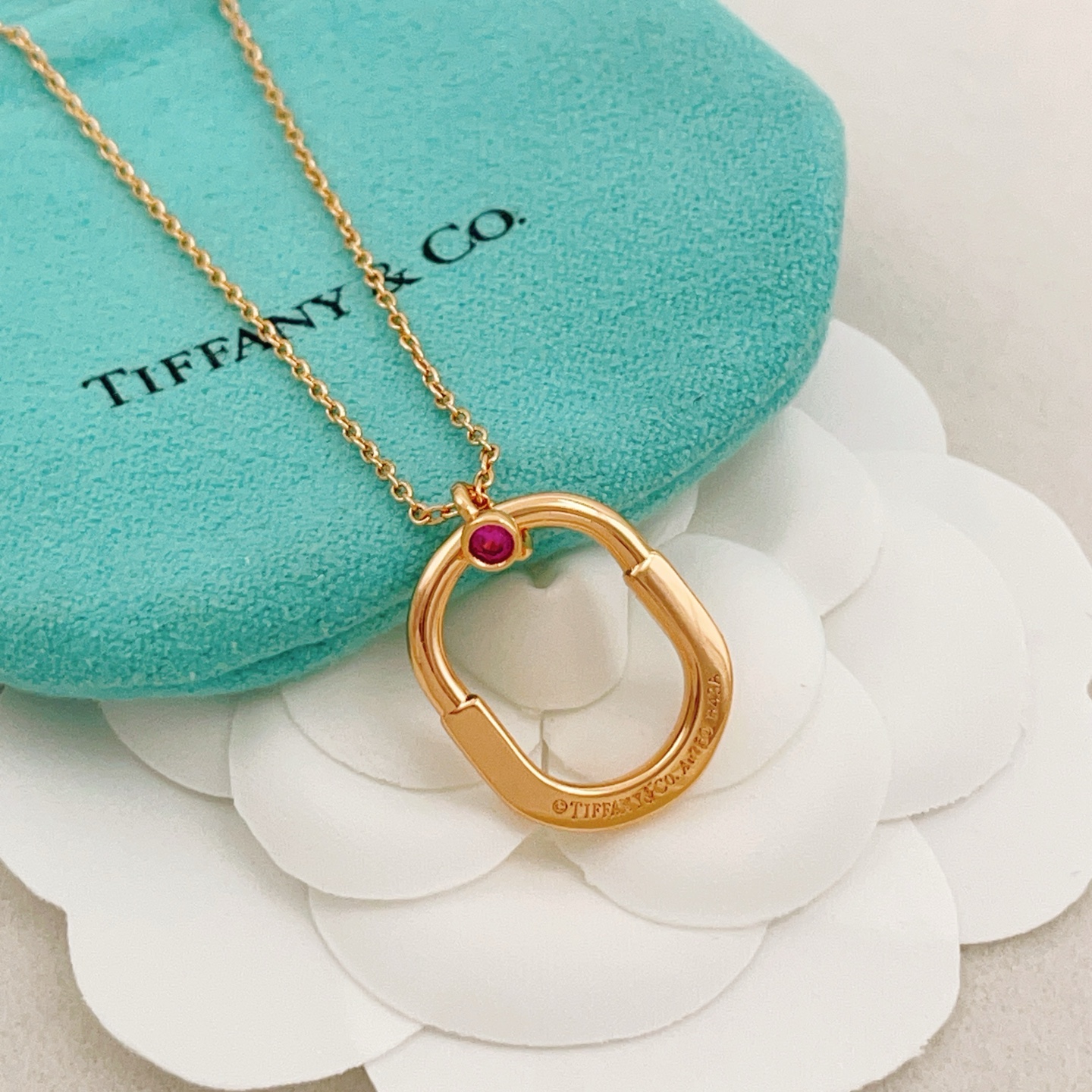 Tiffany & Co. Tiffany*帝芙尼最新款，非常的上镜‼ 设计很特别值得入手 高级手工坊系列