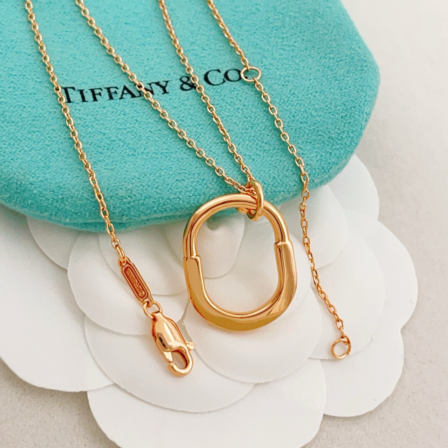 Tiffany & Co. Tiffany*帝芙尼最新款，非常的上镜‼ 设计很特别值得入手 高级手工坊系列